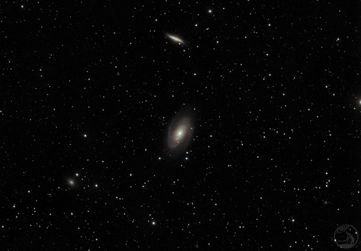 M81