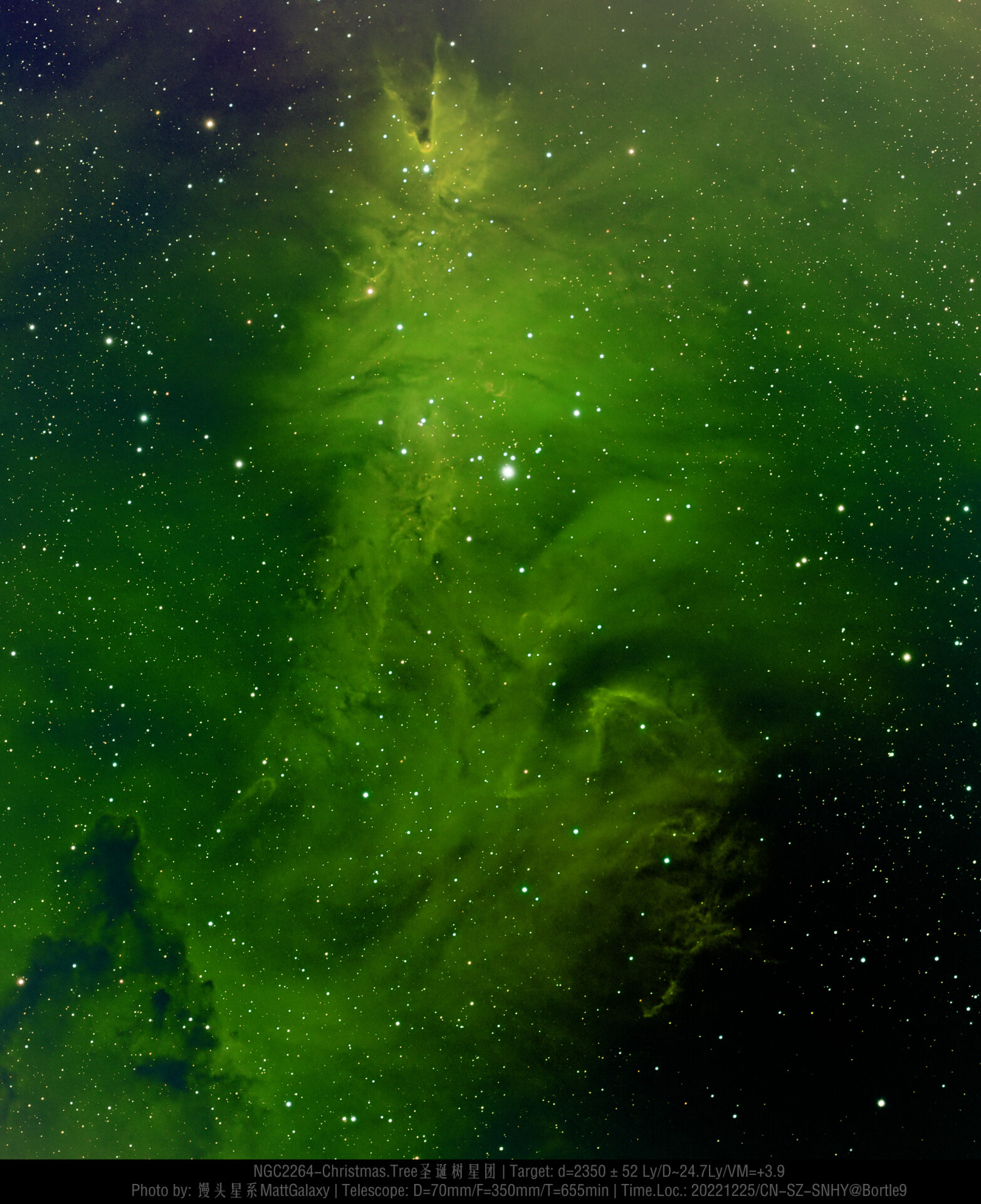 【9级深空】NGC2264-Christmas.Tree圣诞树星团