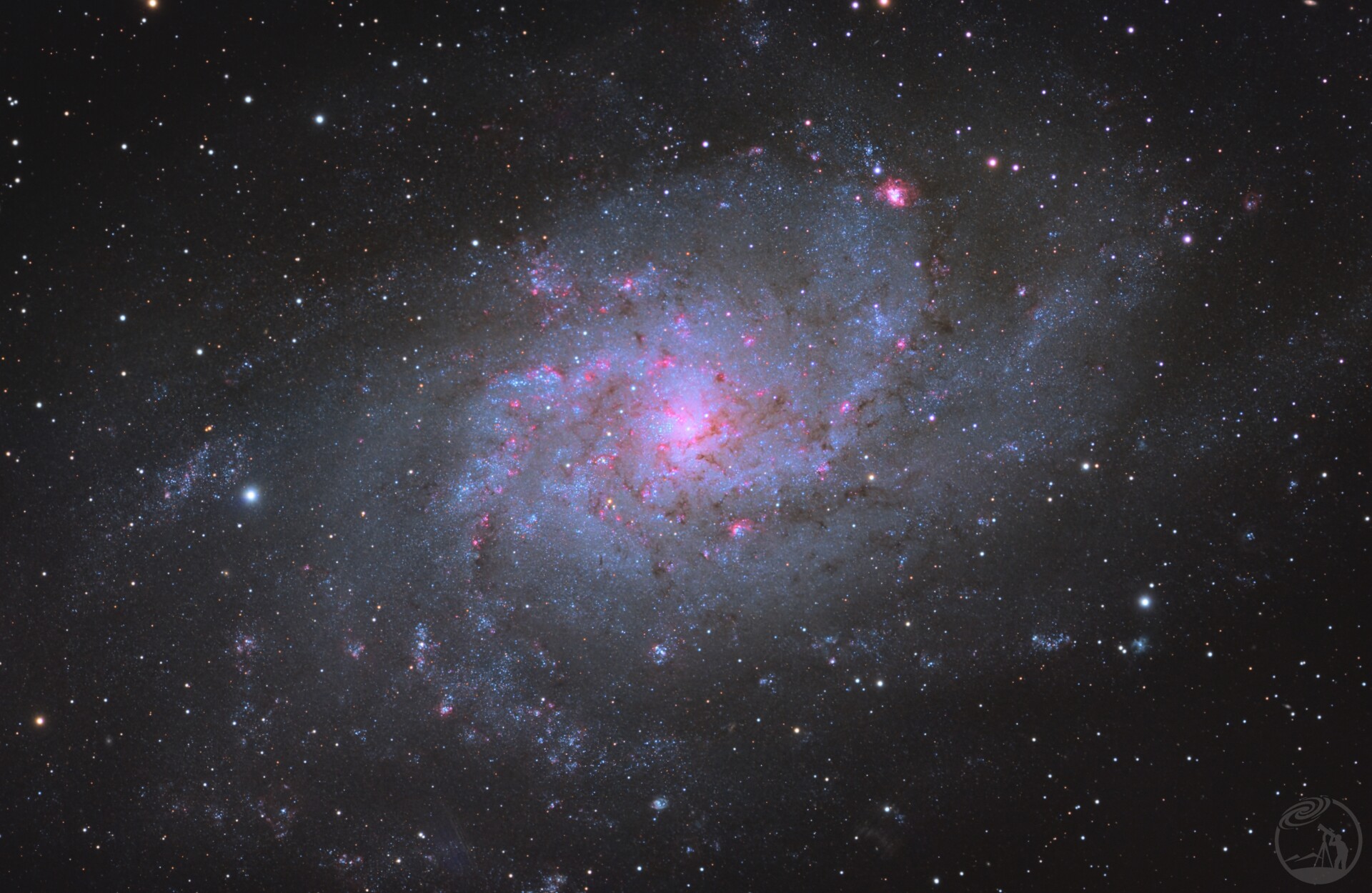 M33
