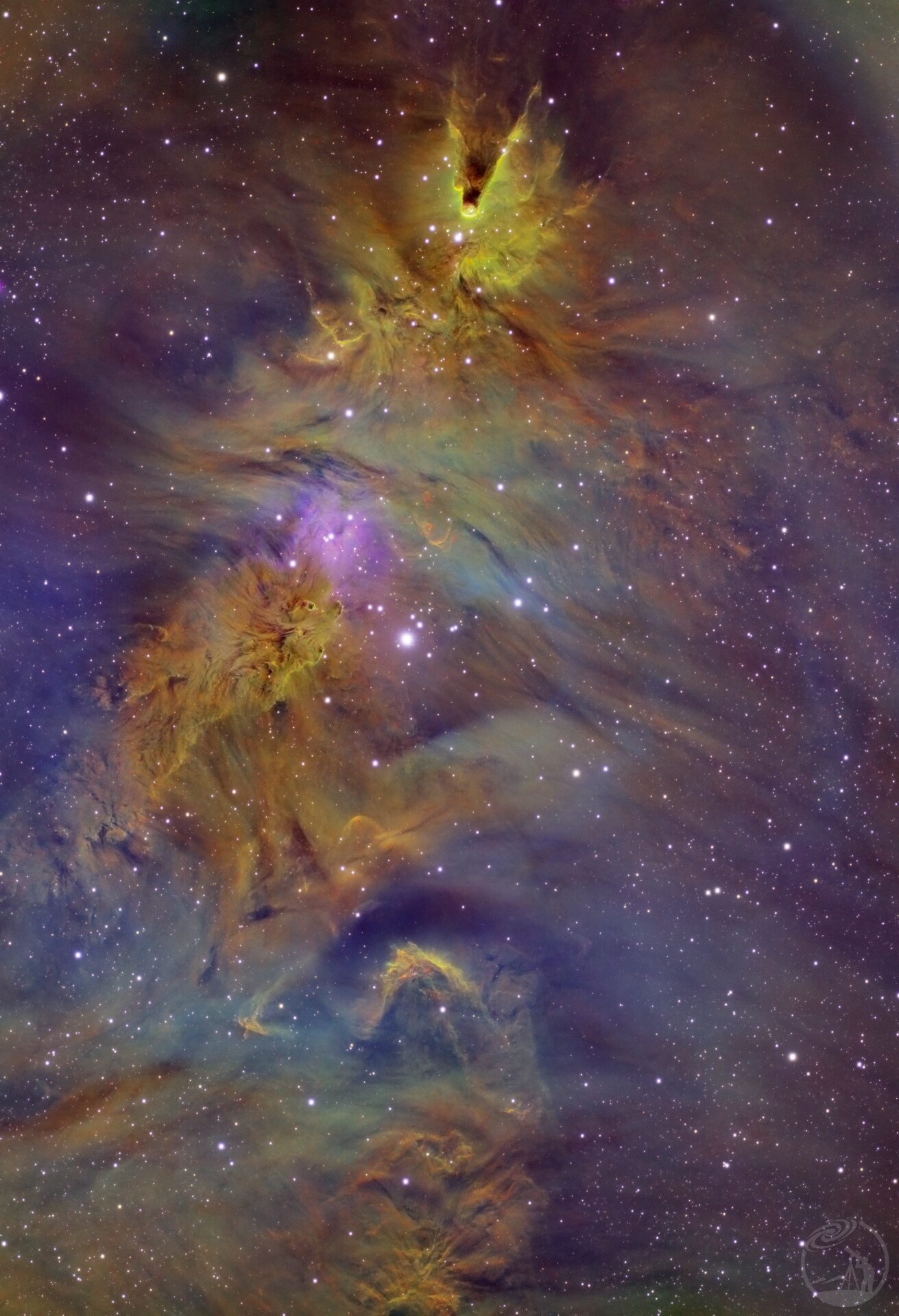 NGC2264圣诞树