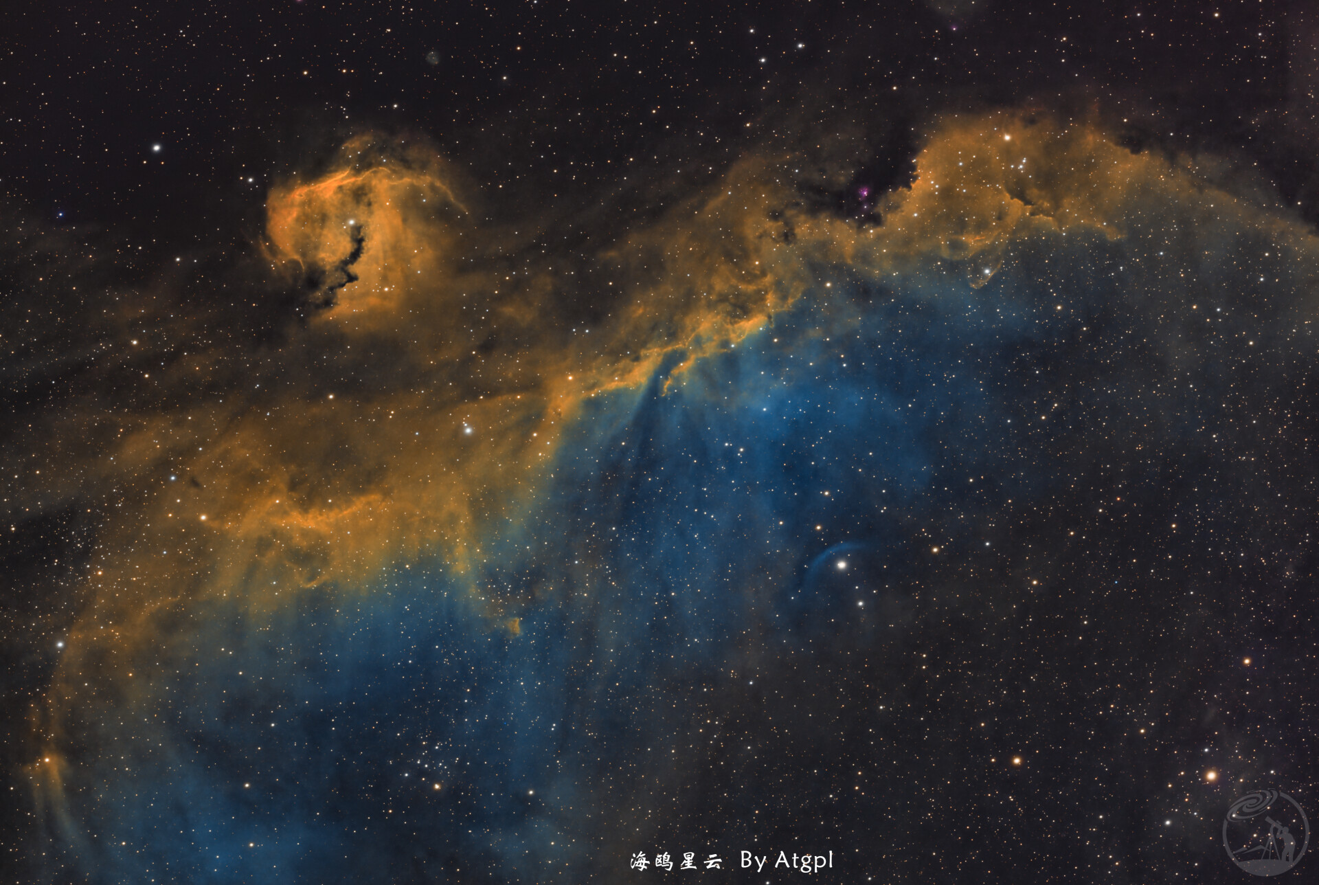 IC2177 海鸥