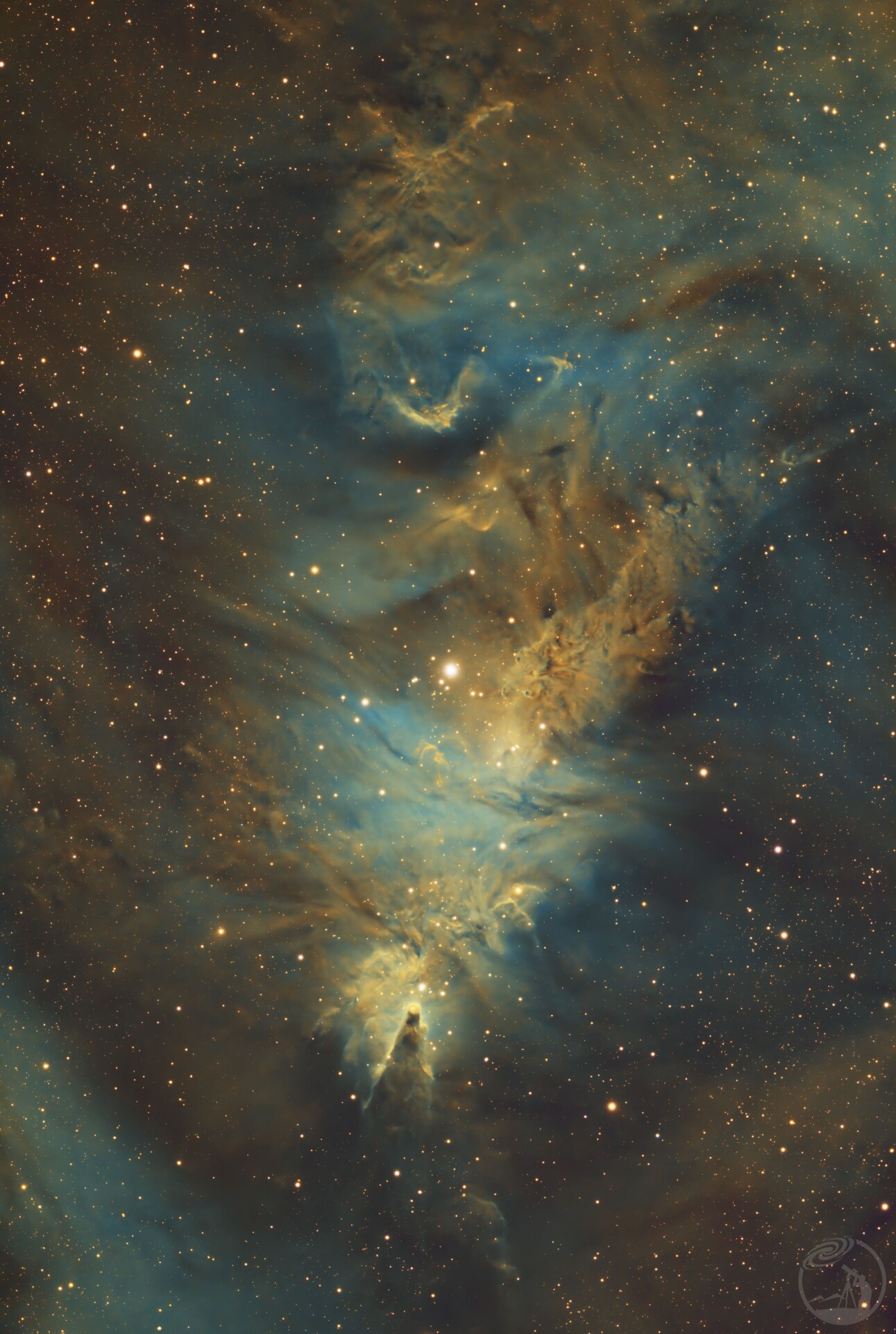 NGC2264