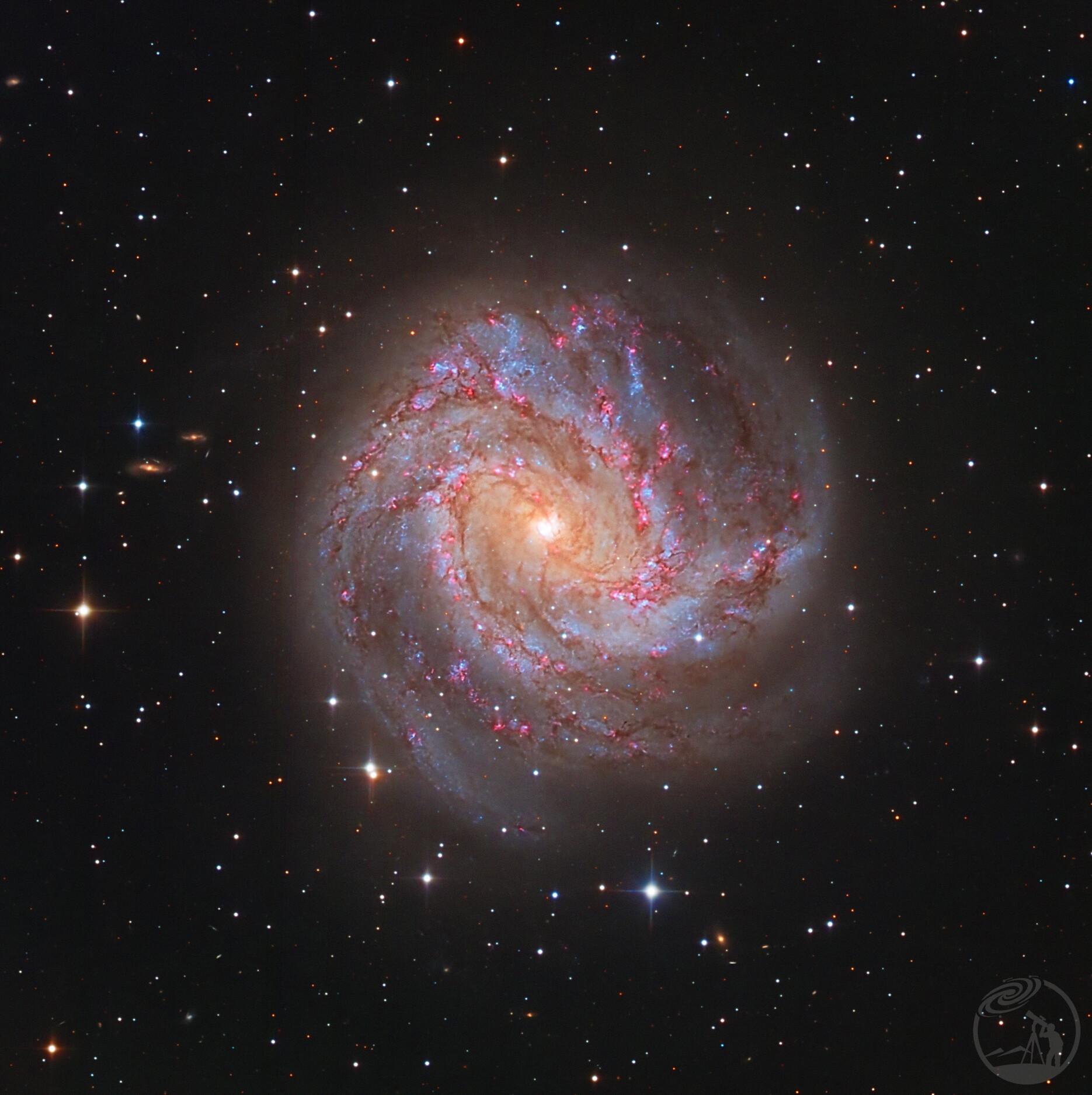 m83楠锋车