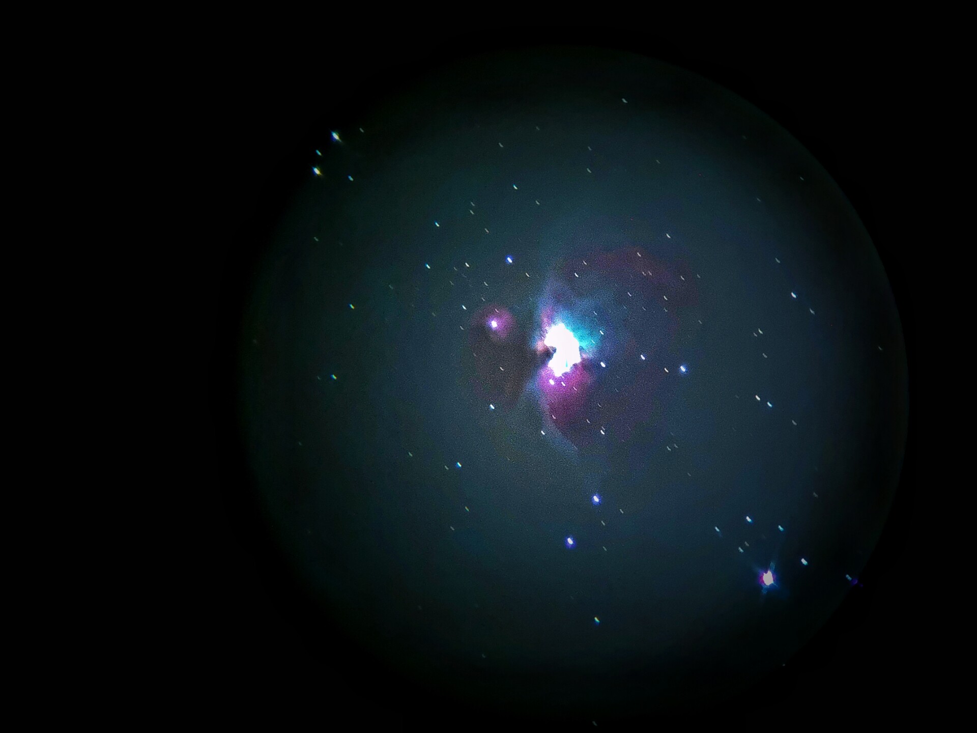 m42 手机拍摄