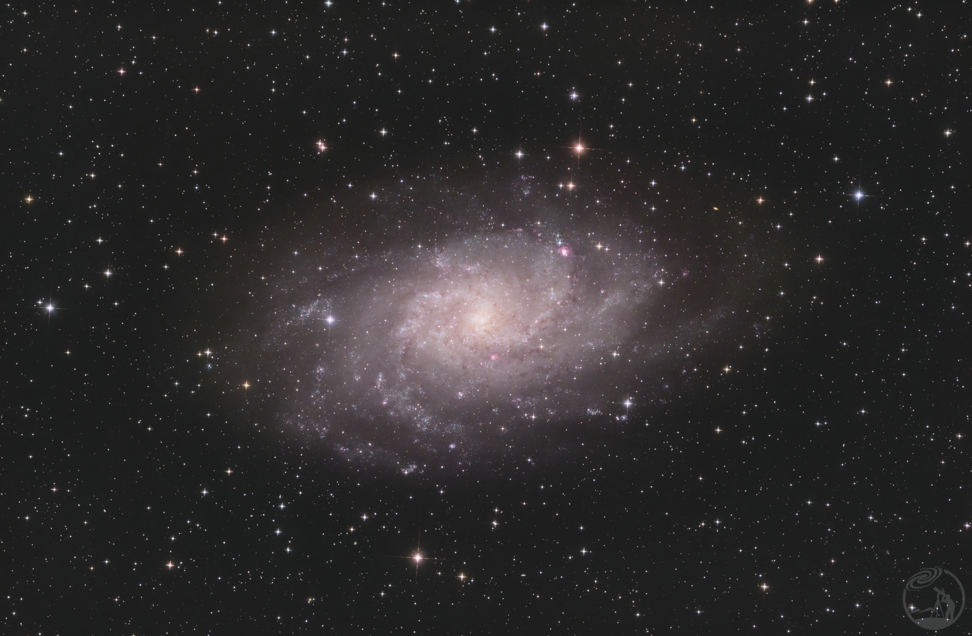 M33