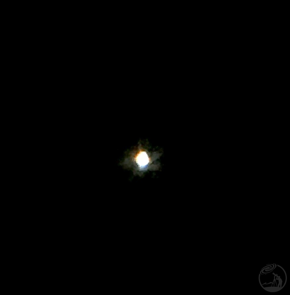 手机金星