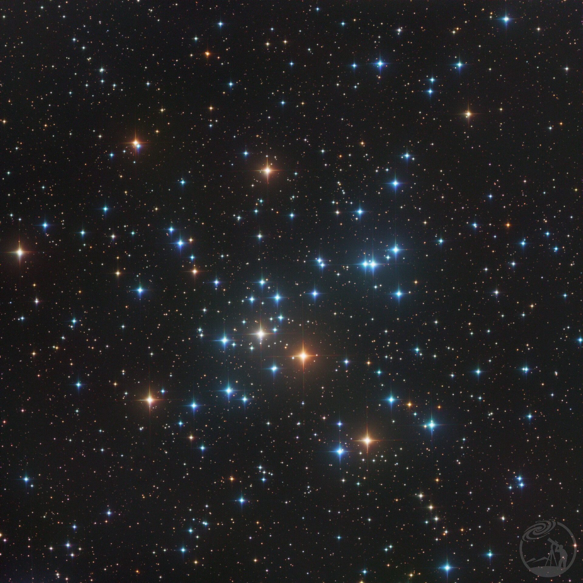 M41