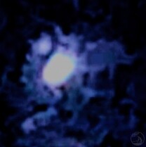 M42