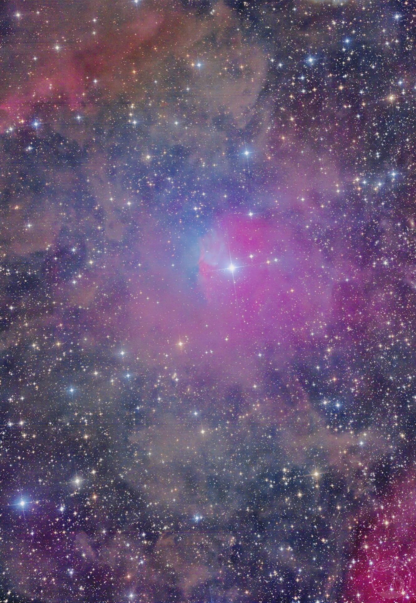 树莓星云