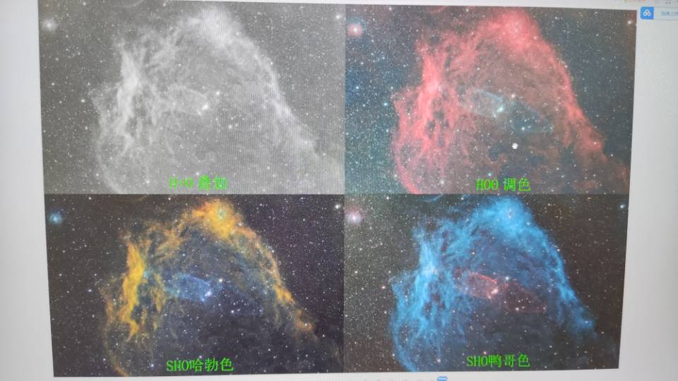 蝙蝠海轰炸大鱿鱼