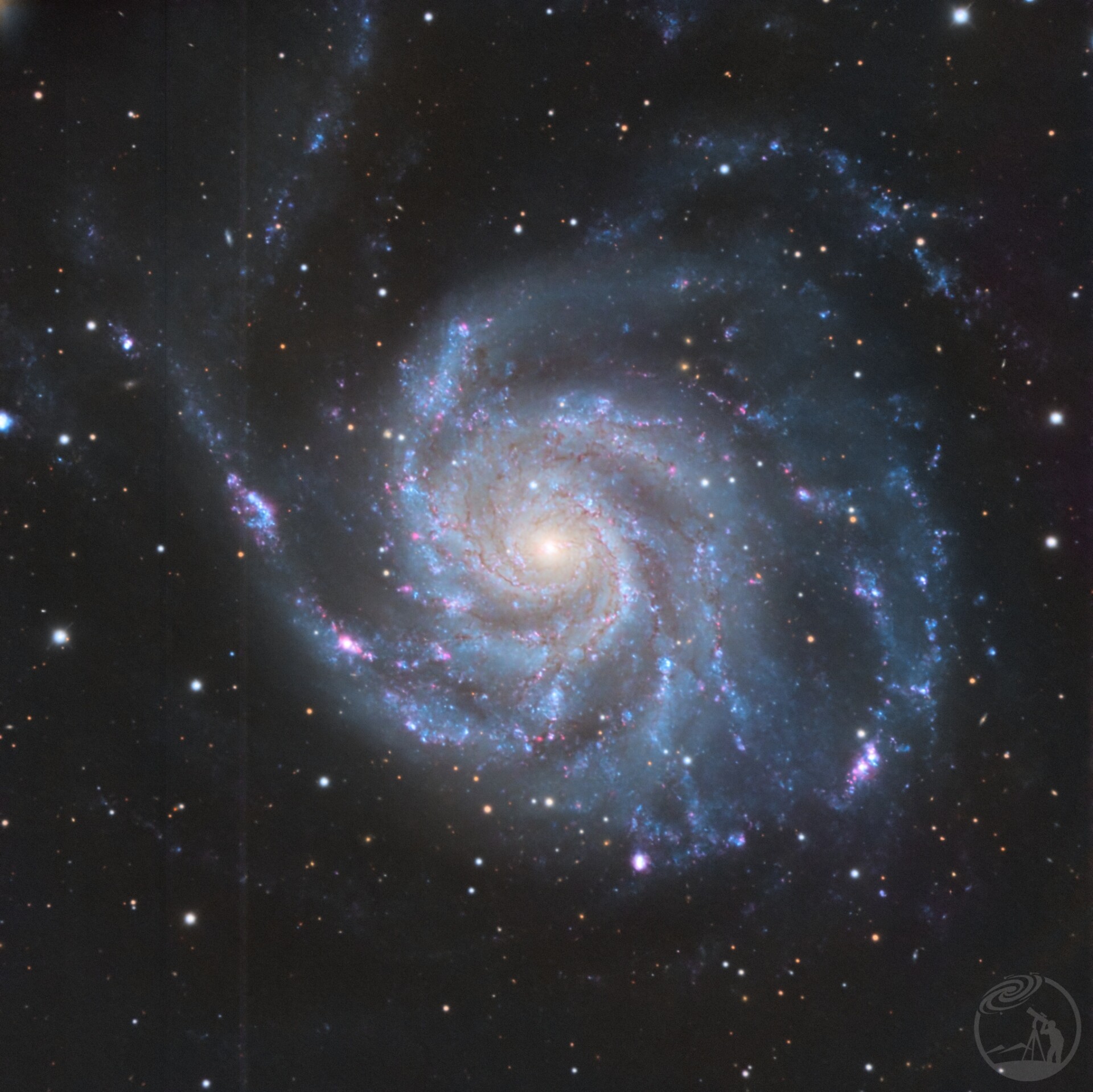 M101