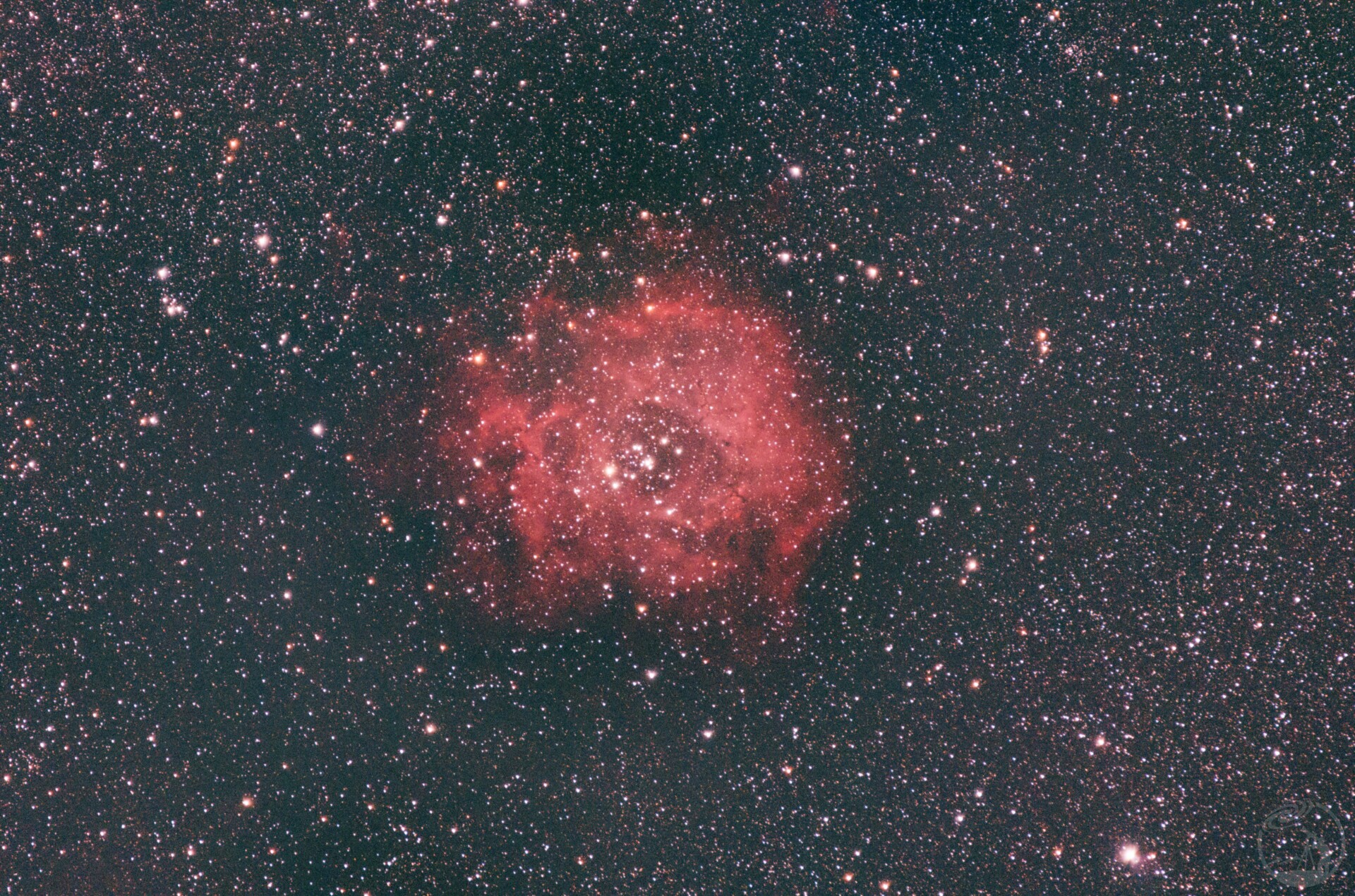 C49玫瑰星云