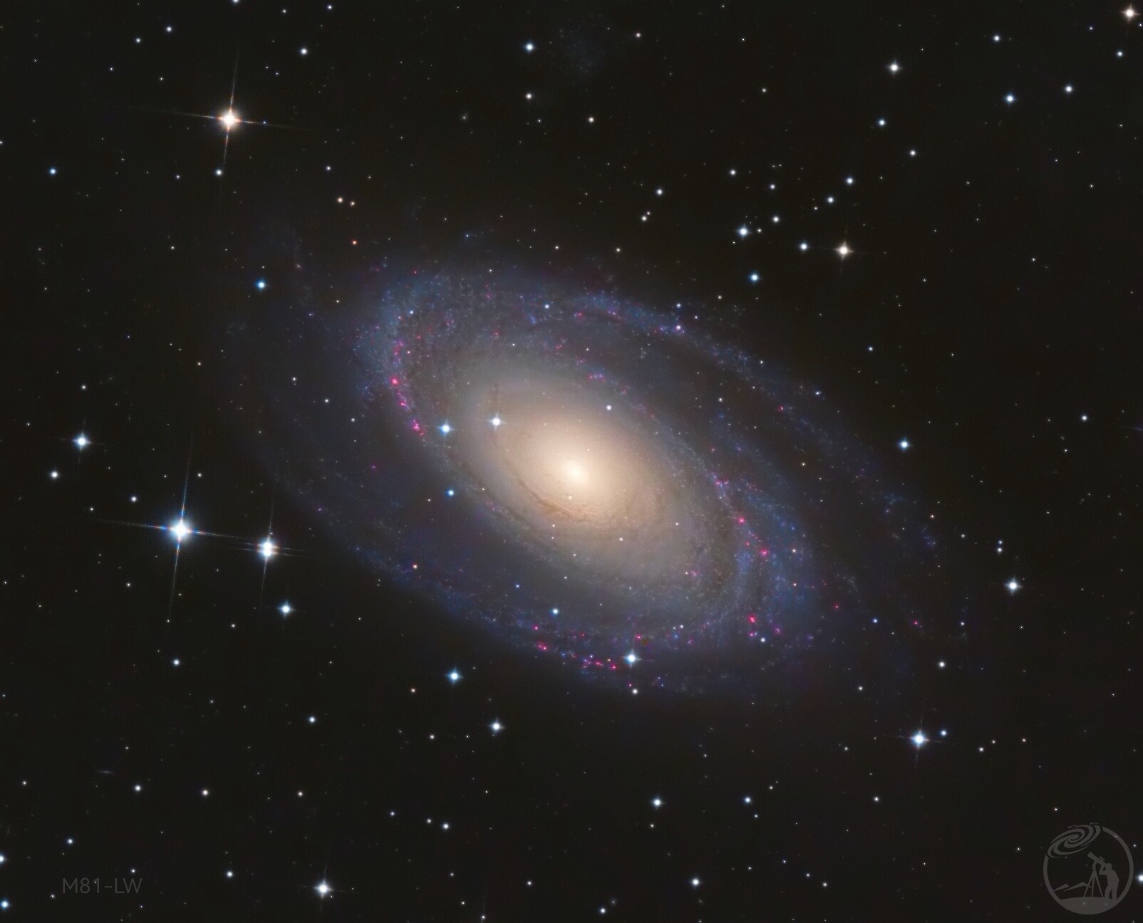 M81