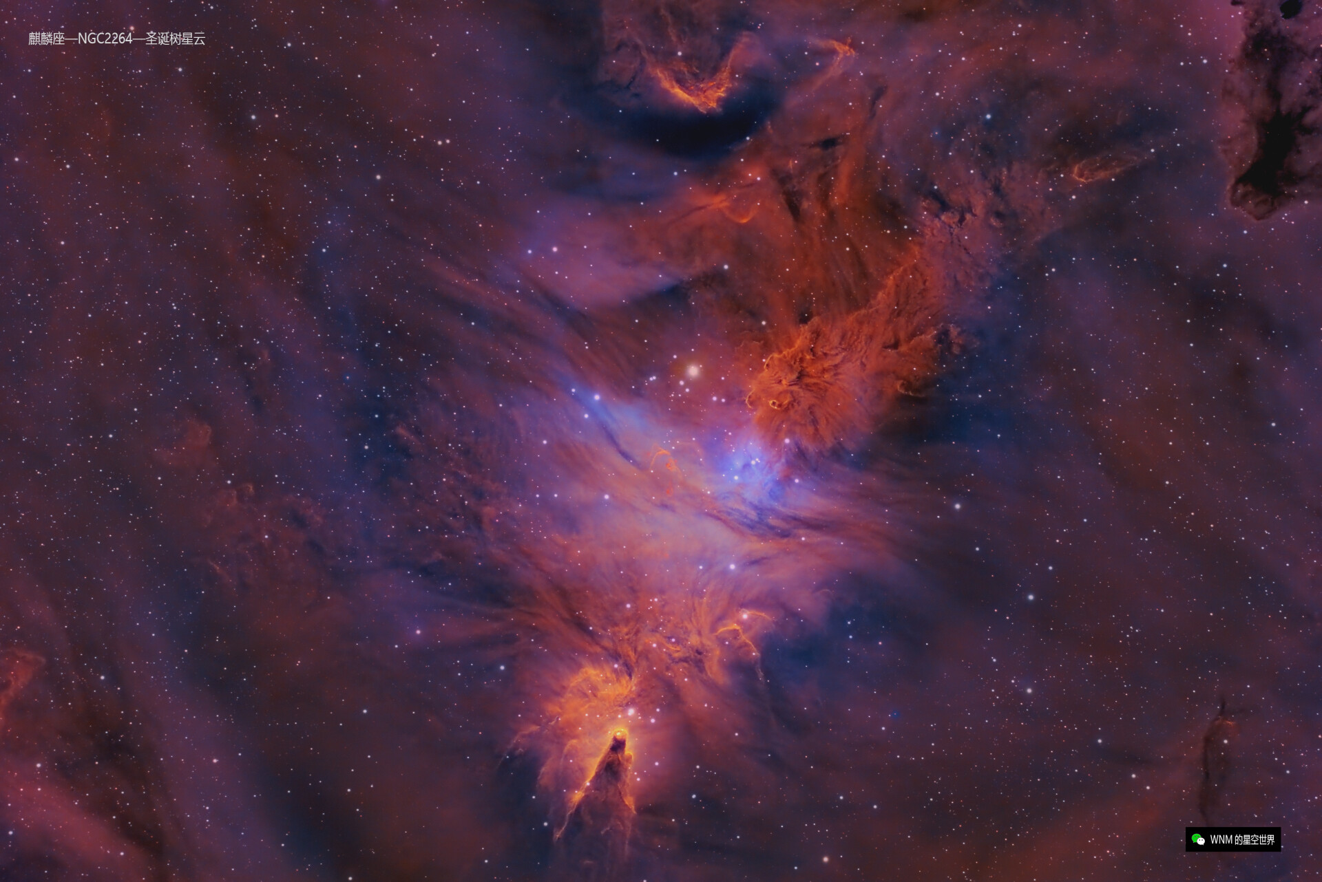 NGC2264 圣诞树星云