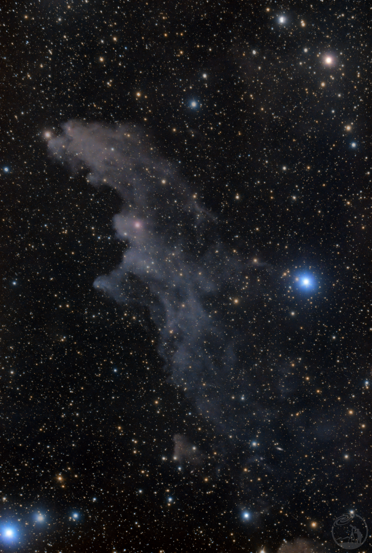 IC 2118【女巫头星云】(Witch Head Nebula)