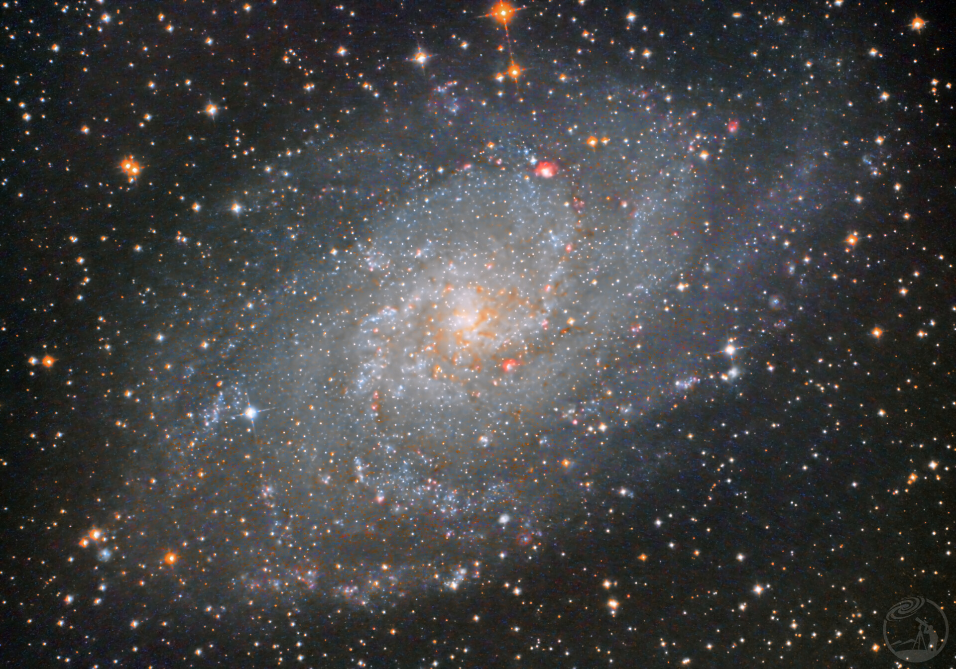 M33