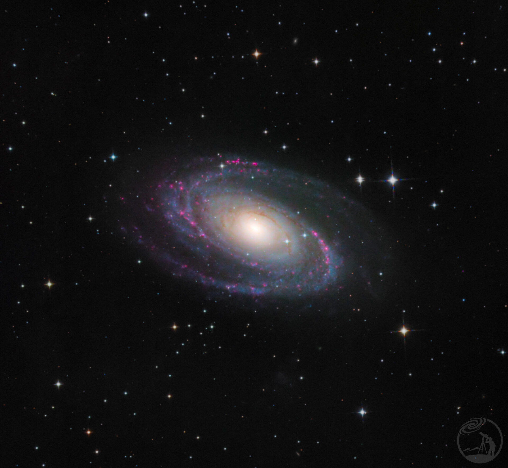 m81