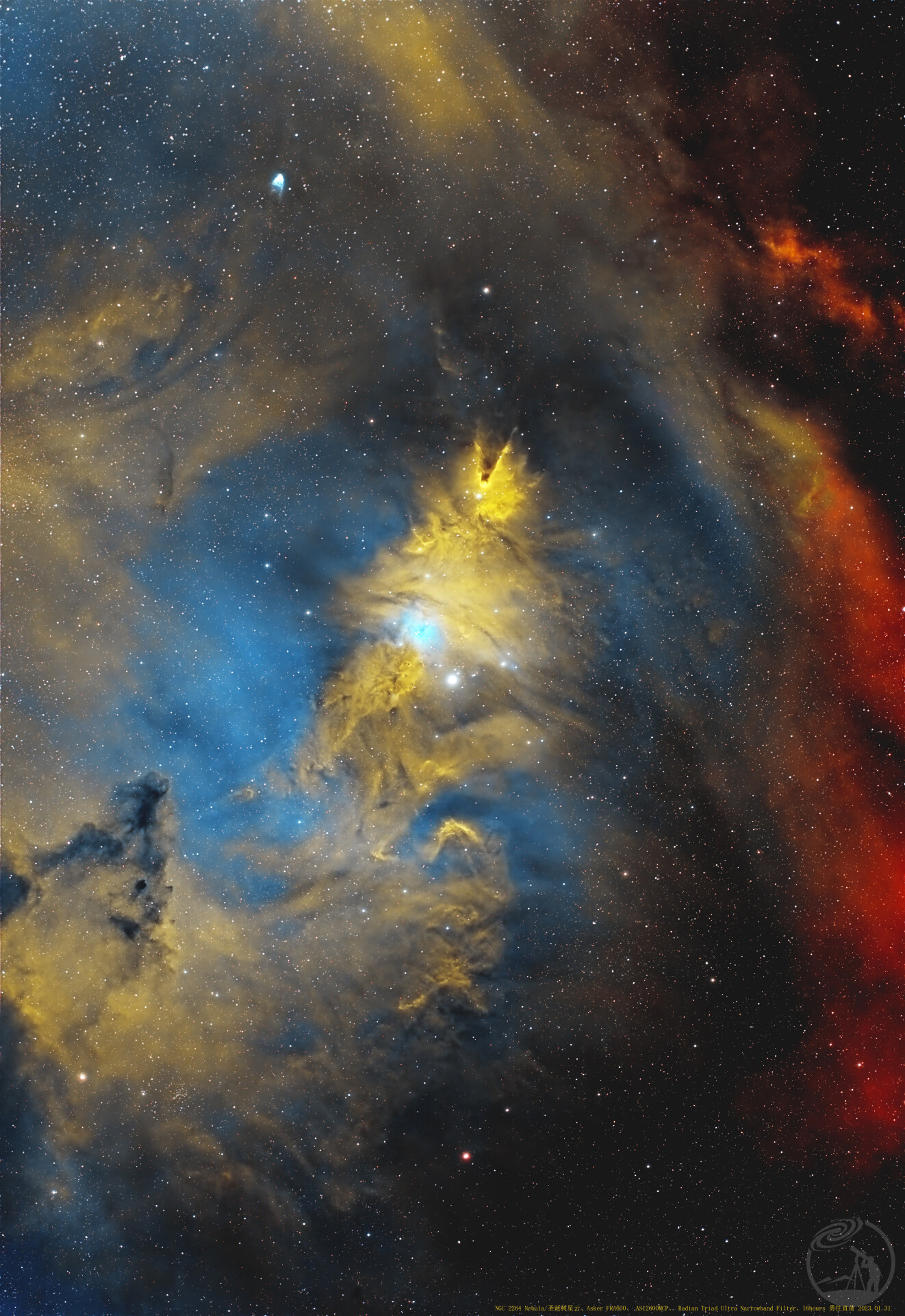 城市深空：圣诞树星云 NGC2264