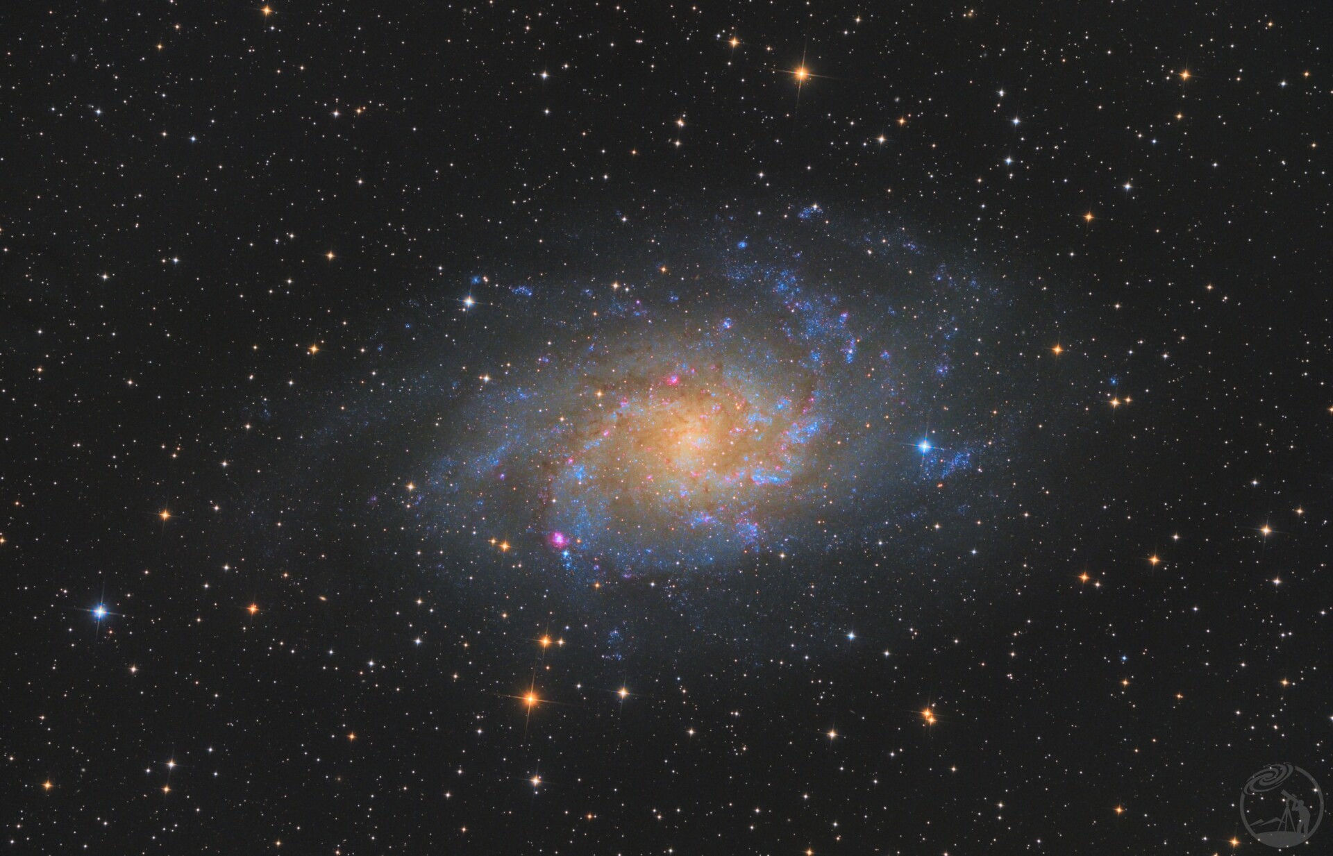 M33