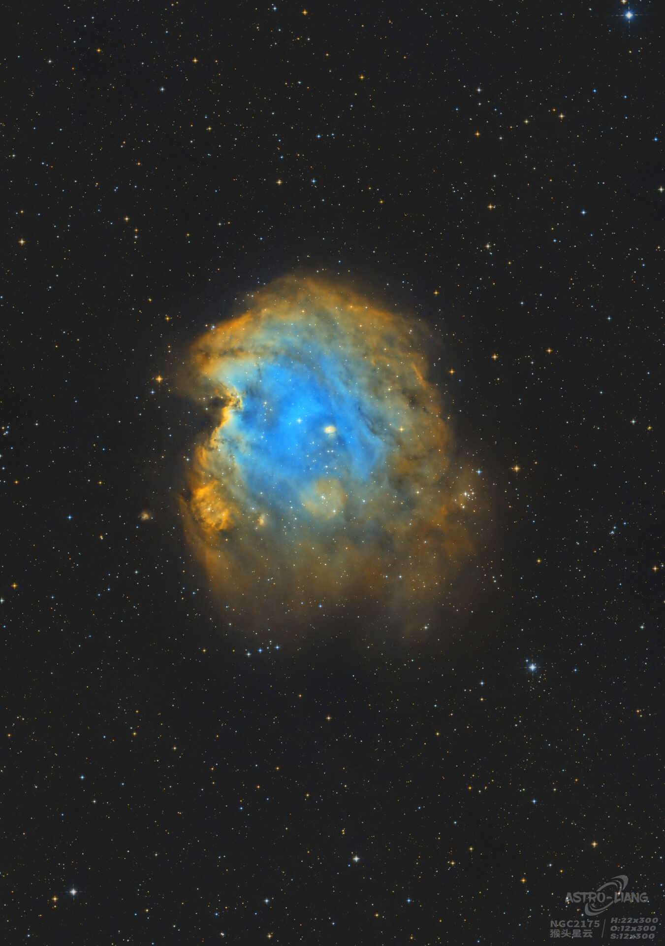 天台快餐ngc2175猴头星云