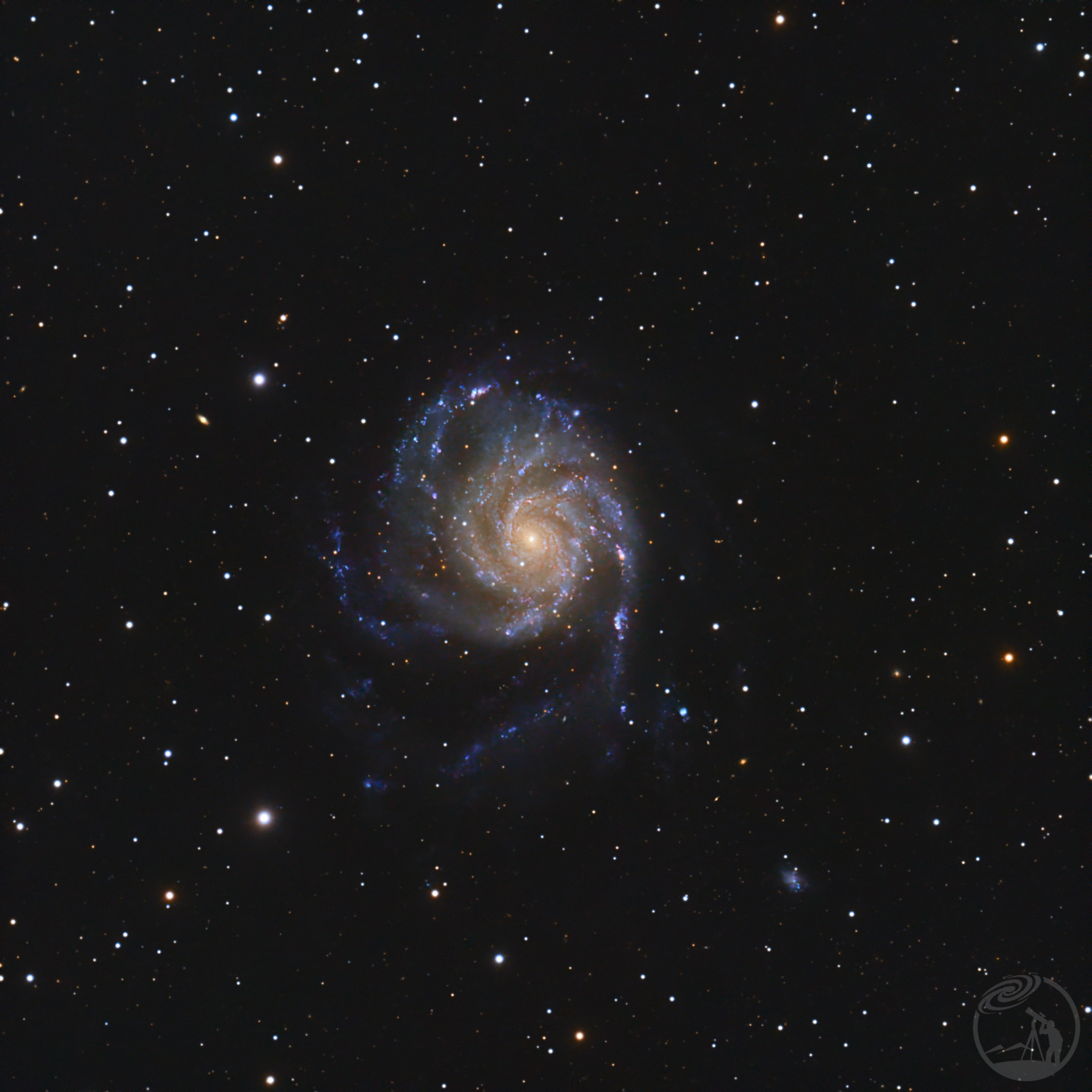 m101