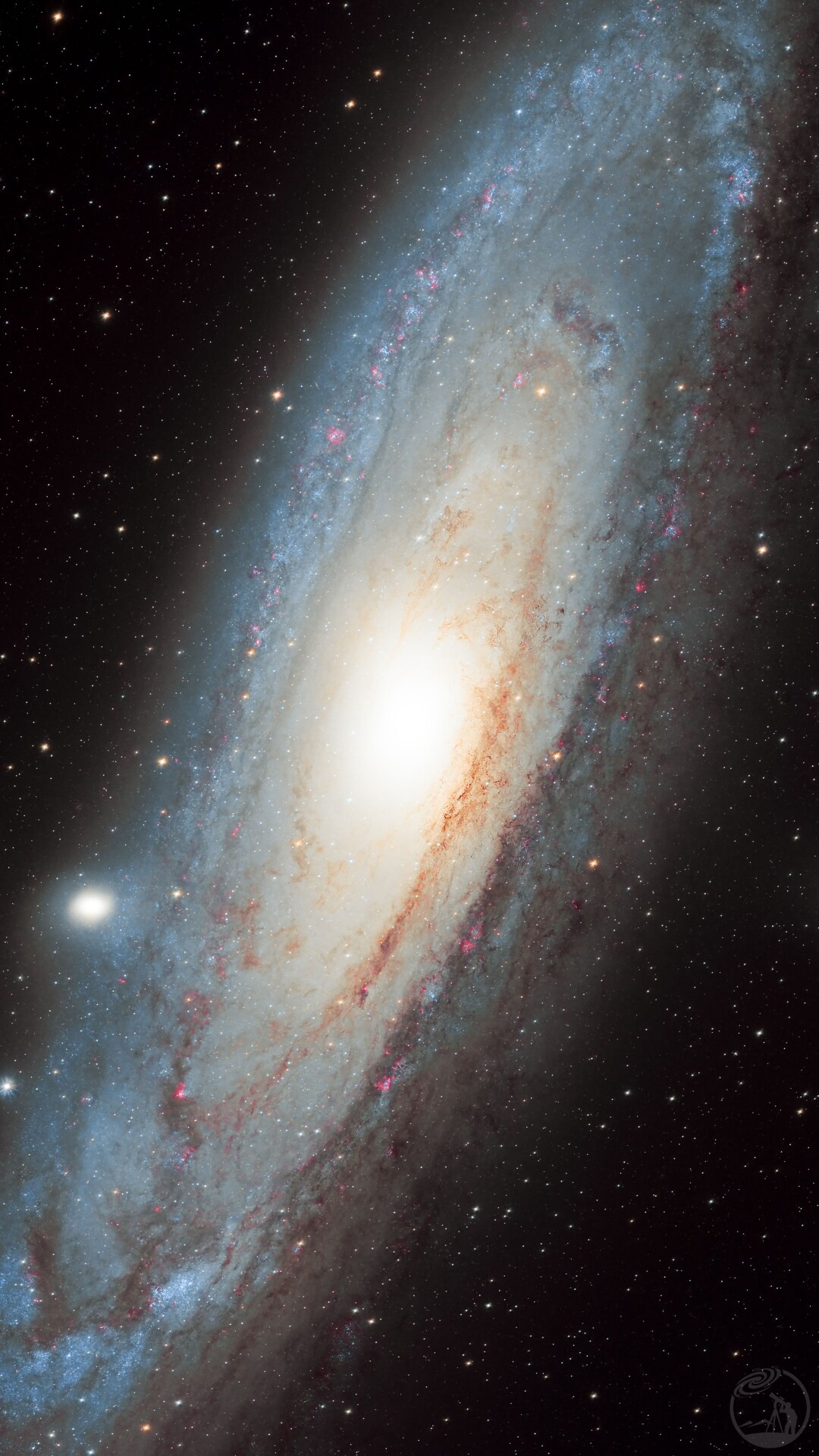 M31