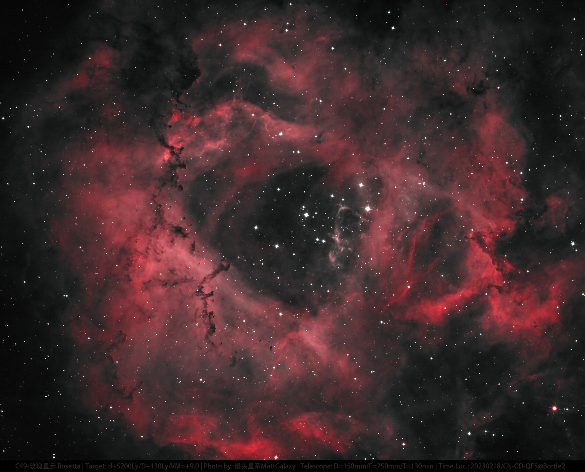 C49.暗玫瑰.Dark.Rosetta