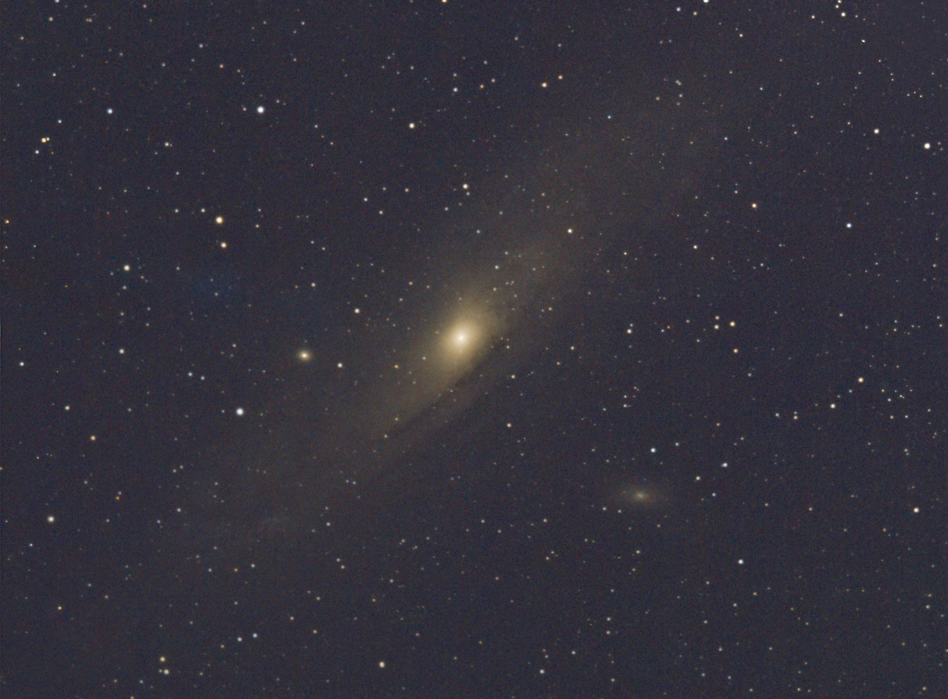 M31