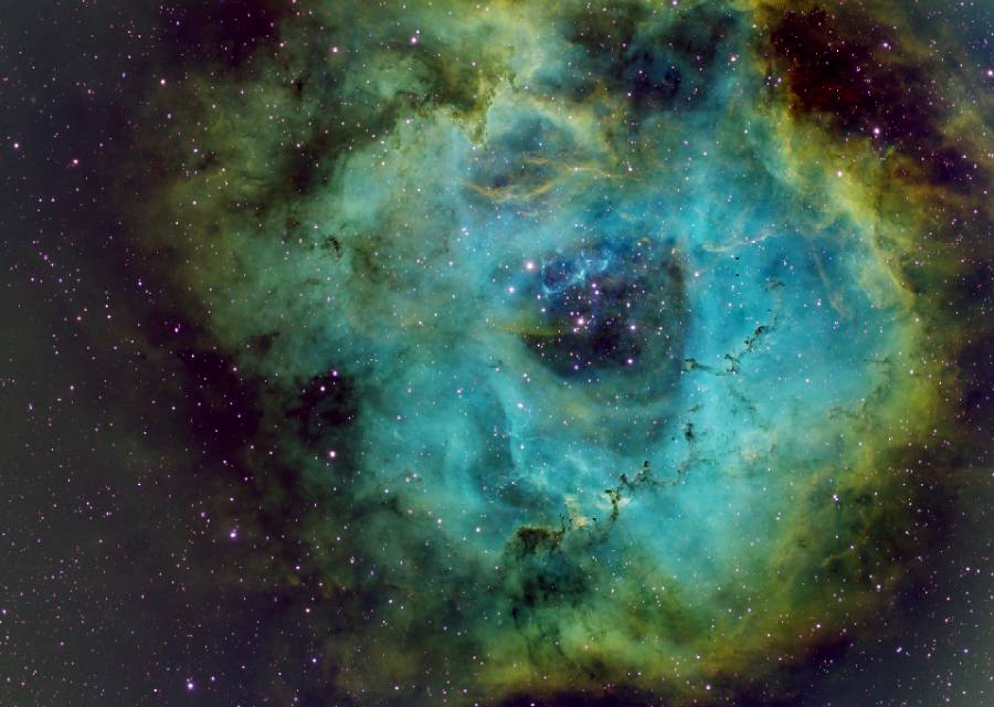 玫瑰星云 NGC2244