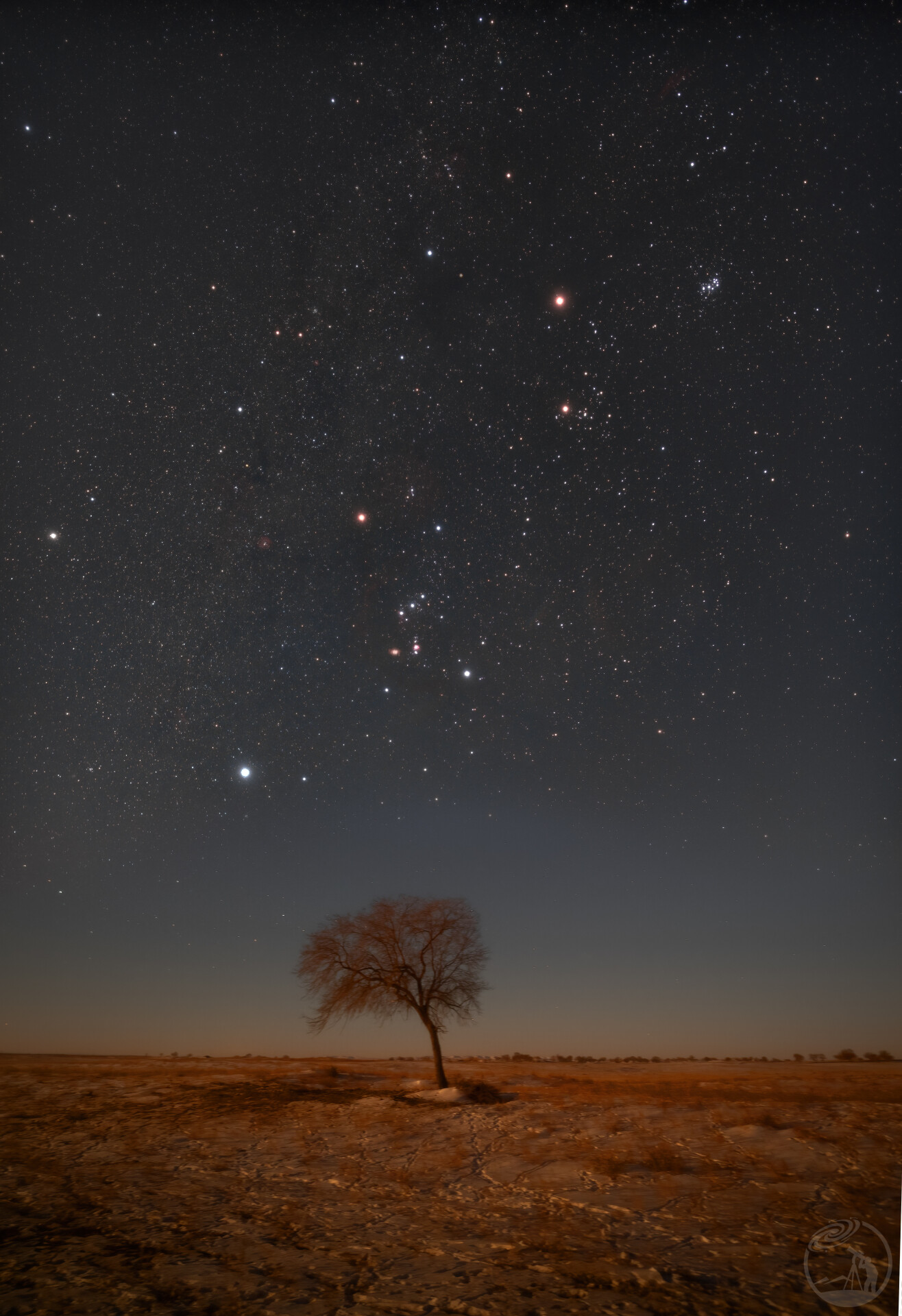 雪原星河