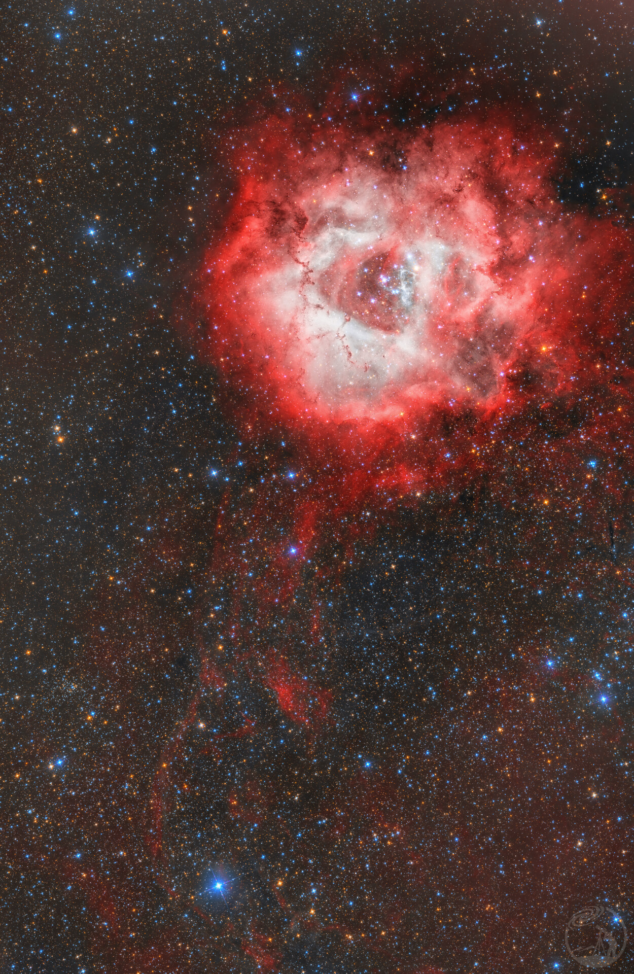🌹🌹宇宙大玫瑰🌹🌹
