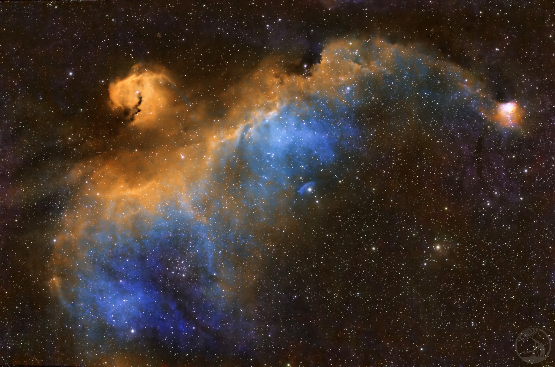 市中心海鸥星云