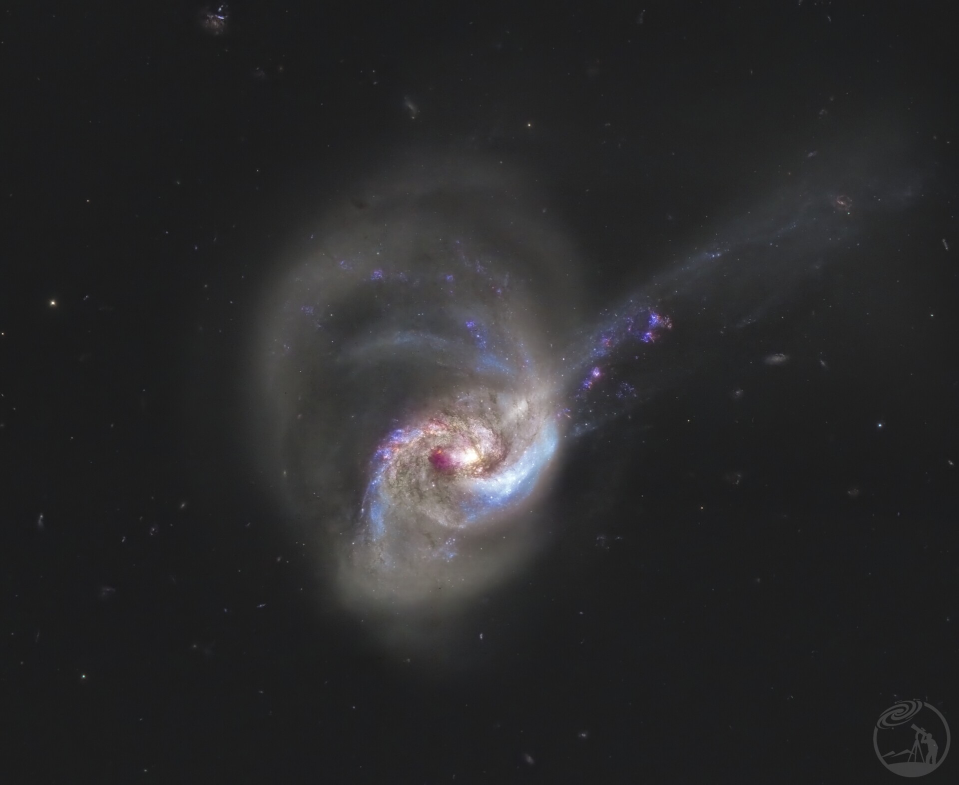 NGC1614，象…象拔蚌星系？