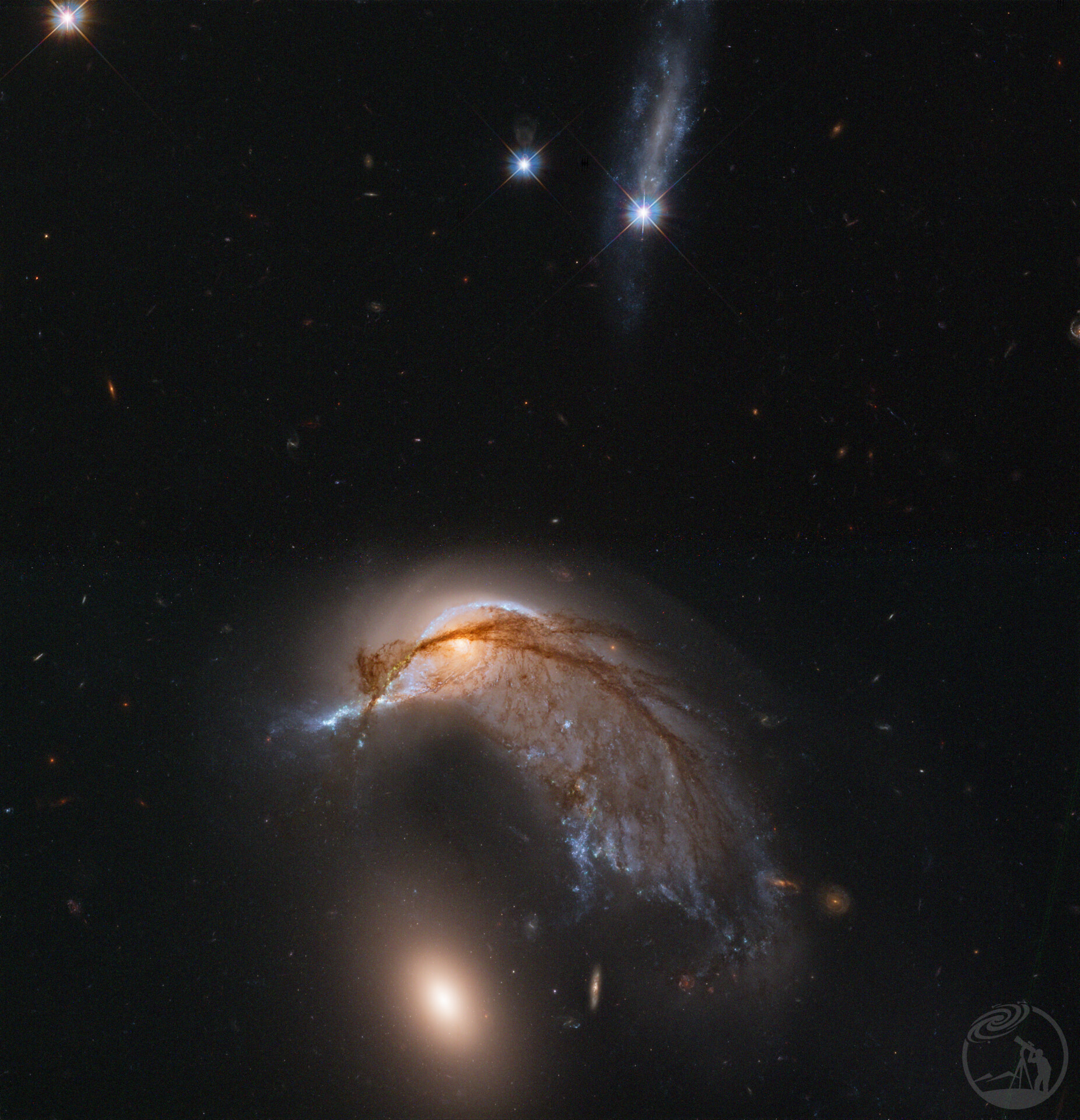 ARP142