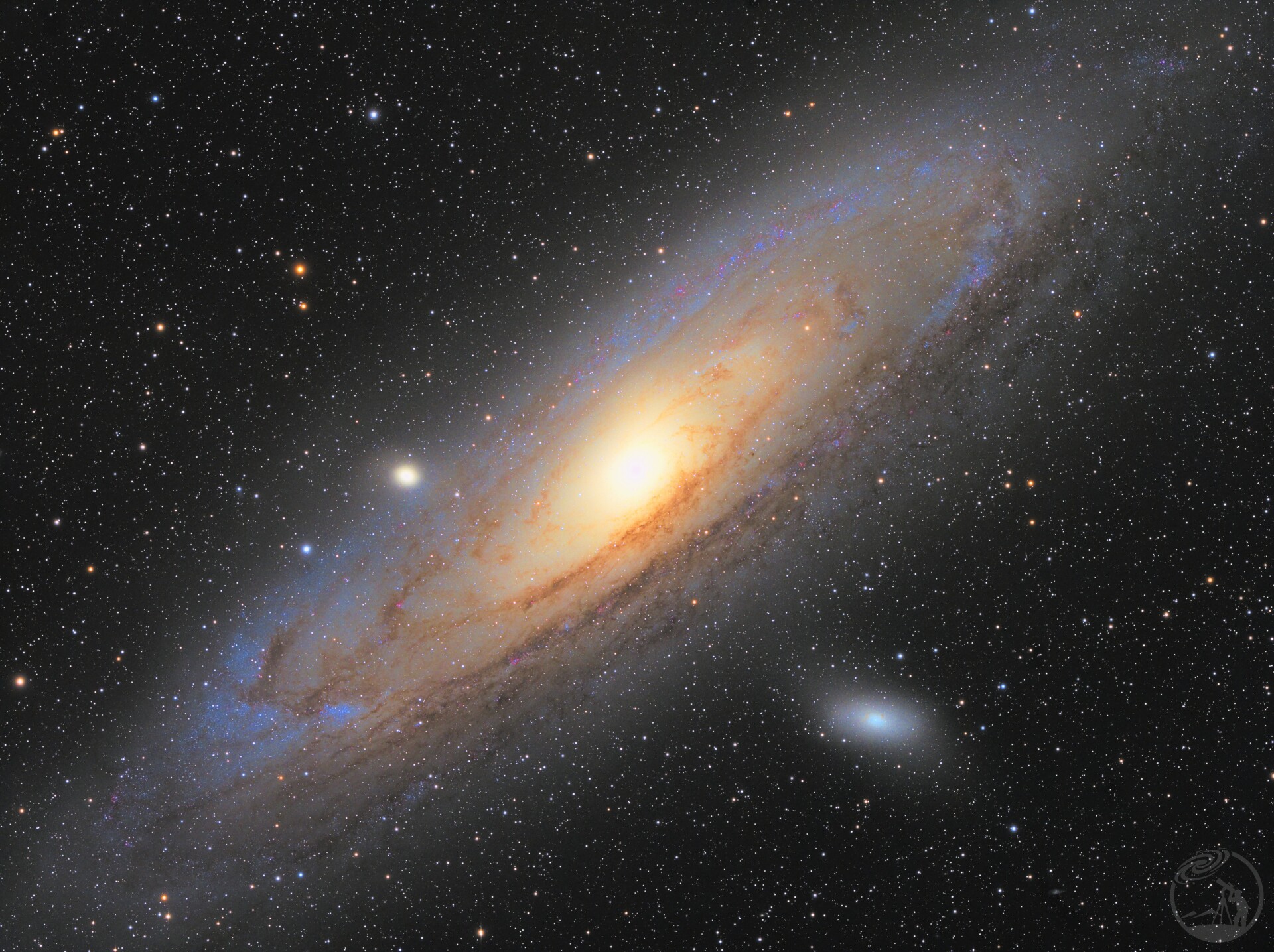 M31