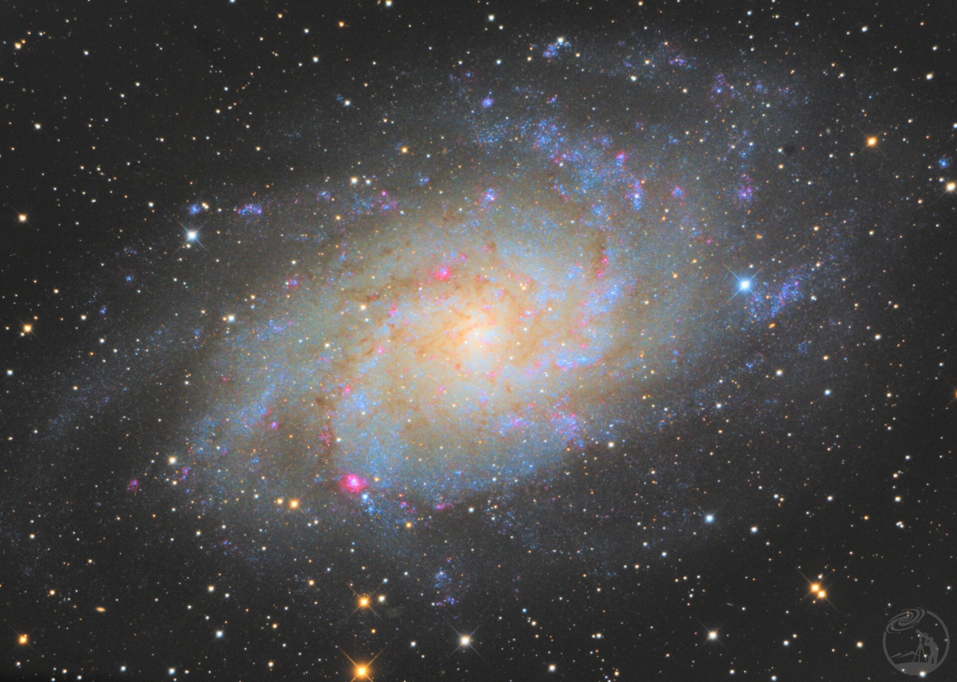 M33