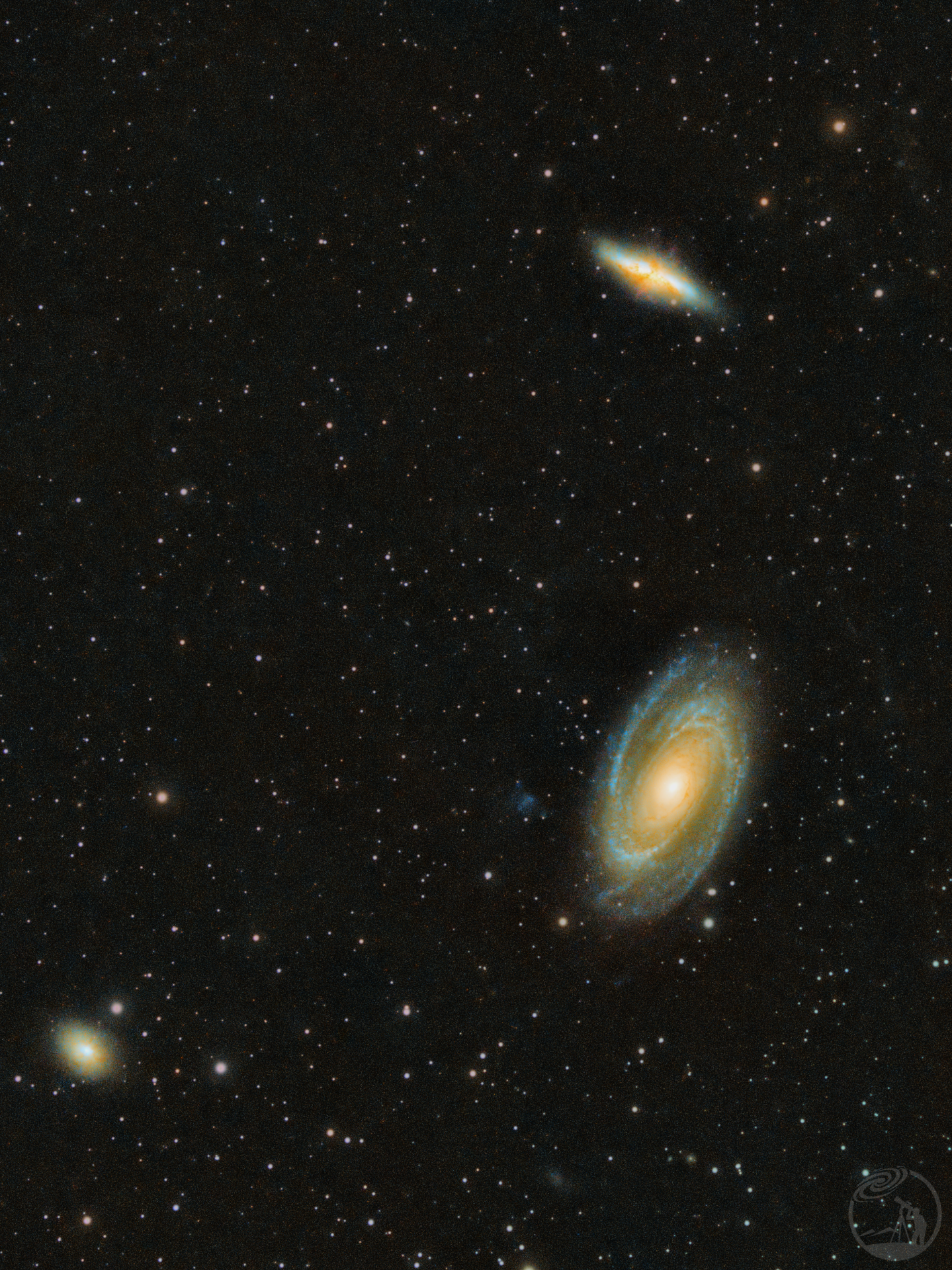 M81