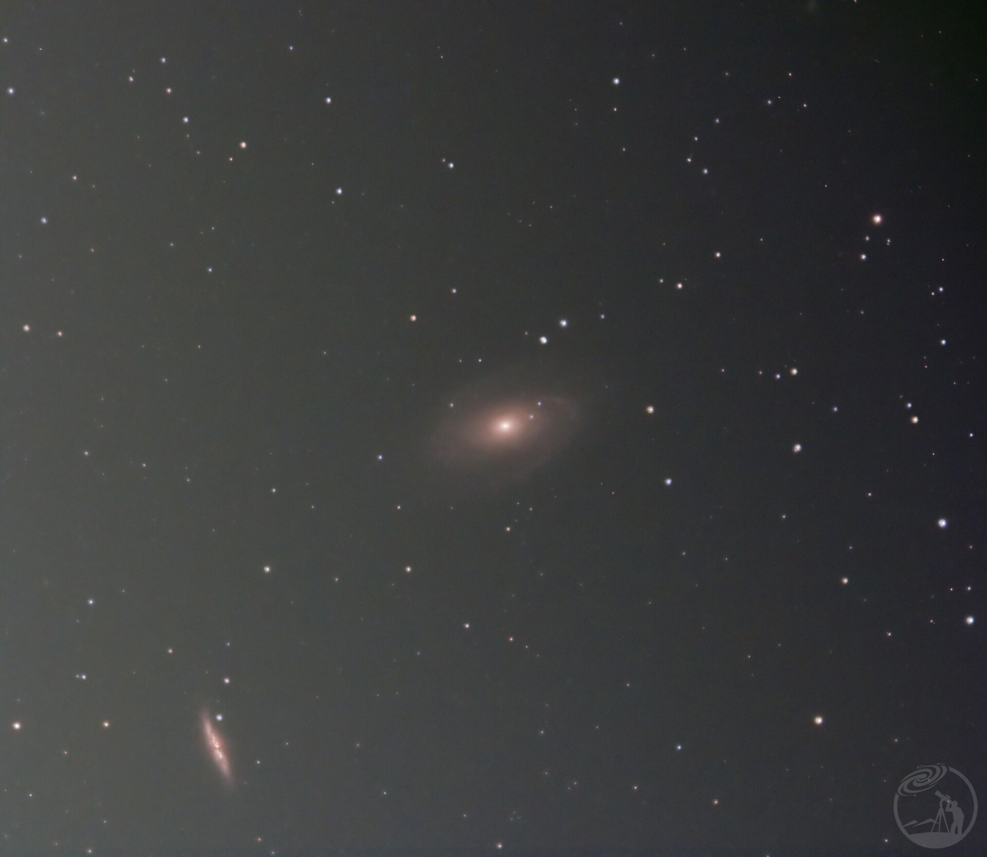 m81