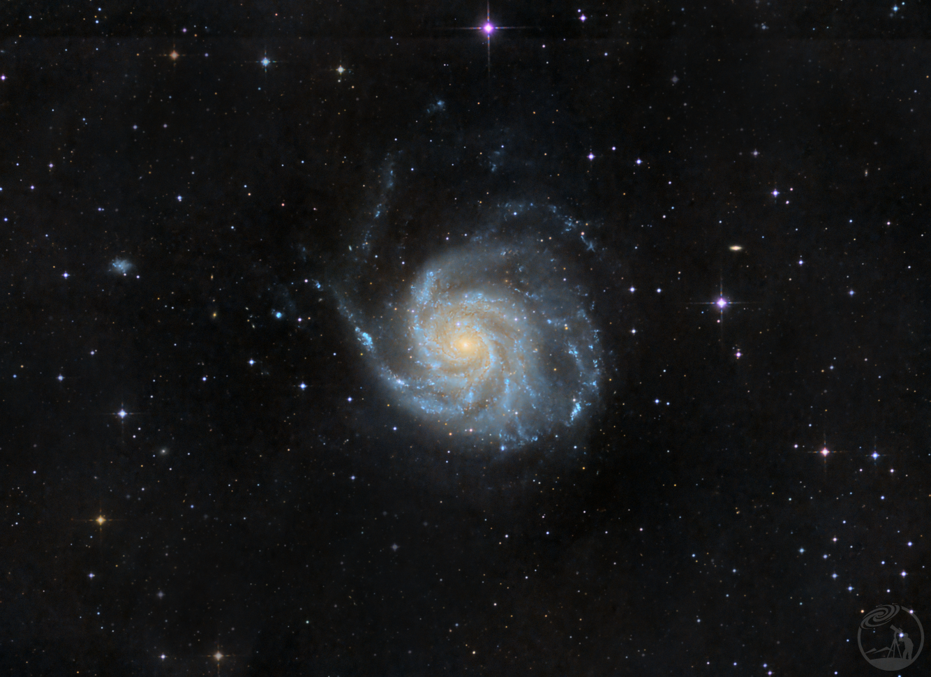 M101