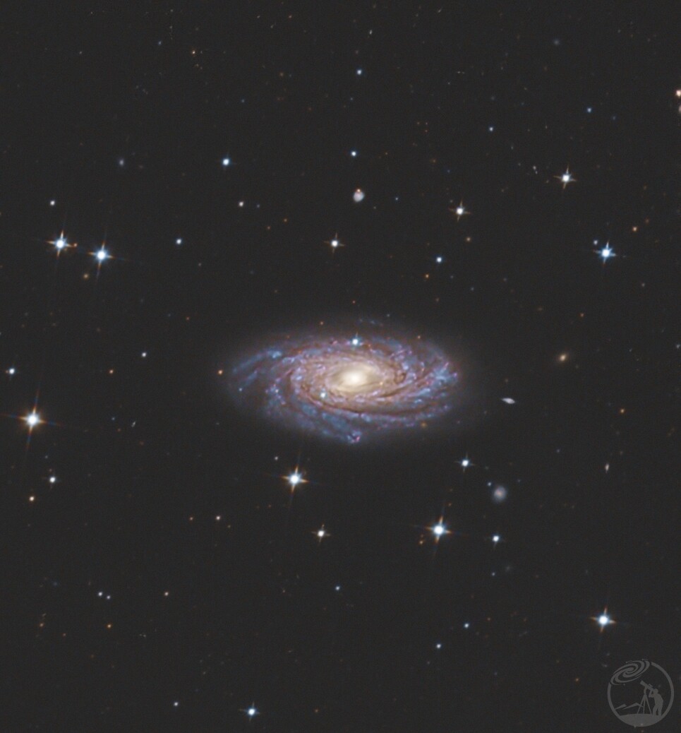 那些没有人发的小星系NGC3953