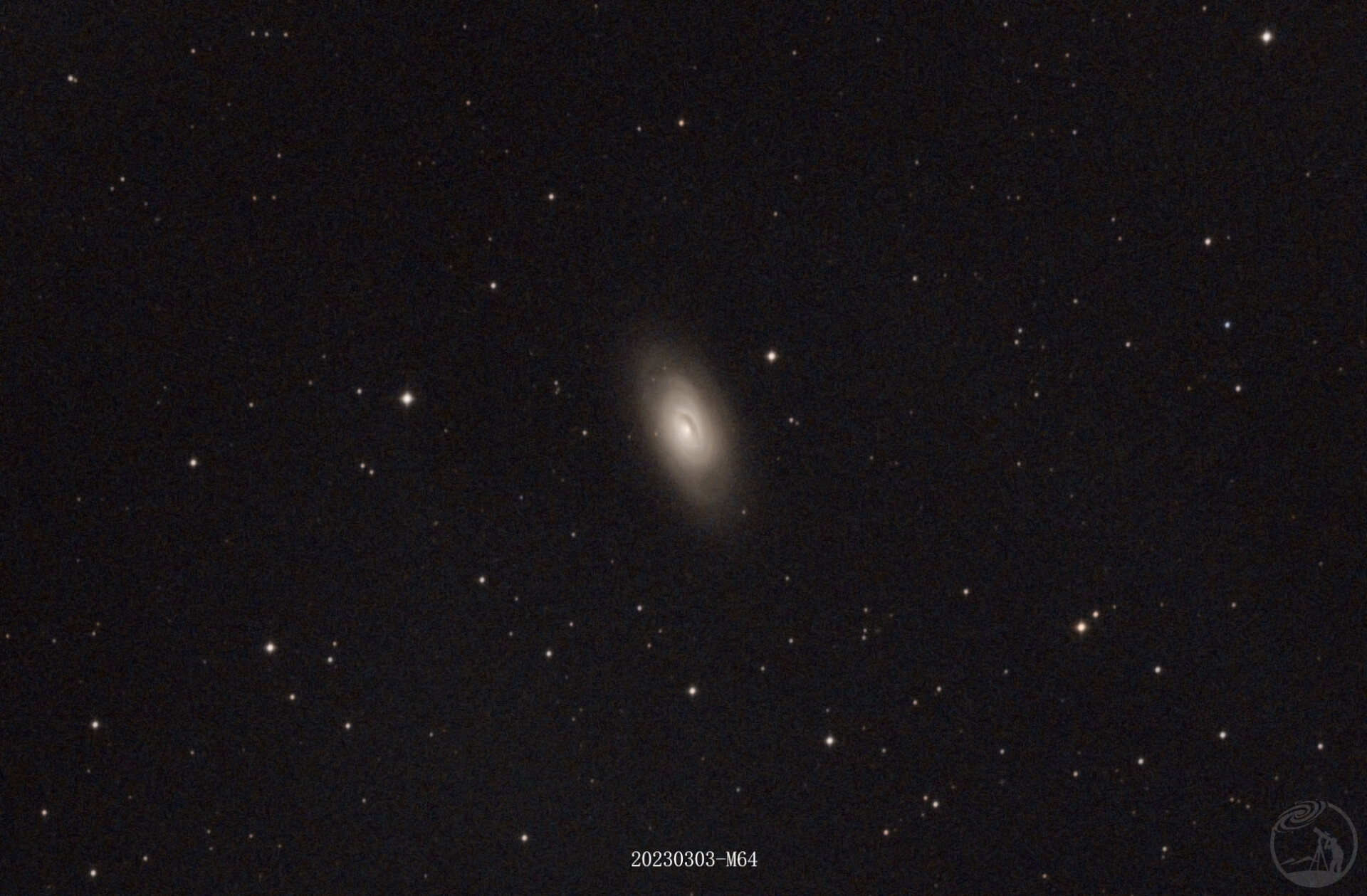 M64