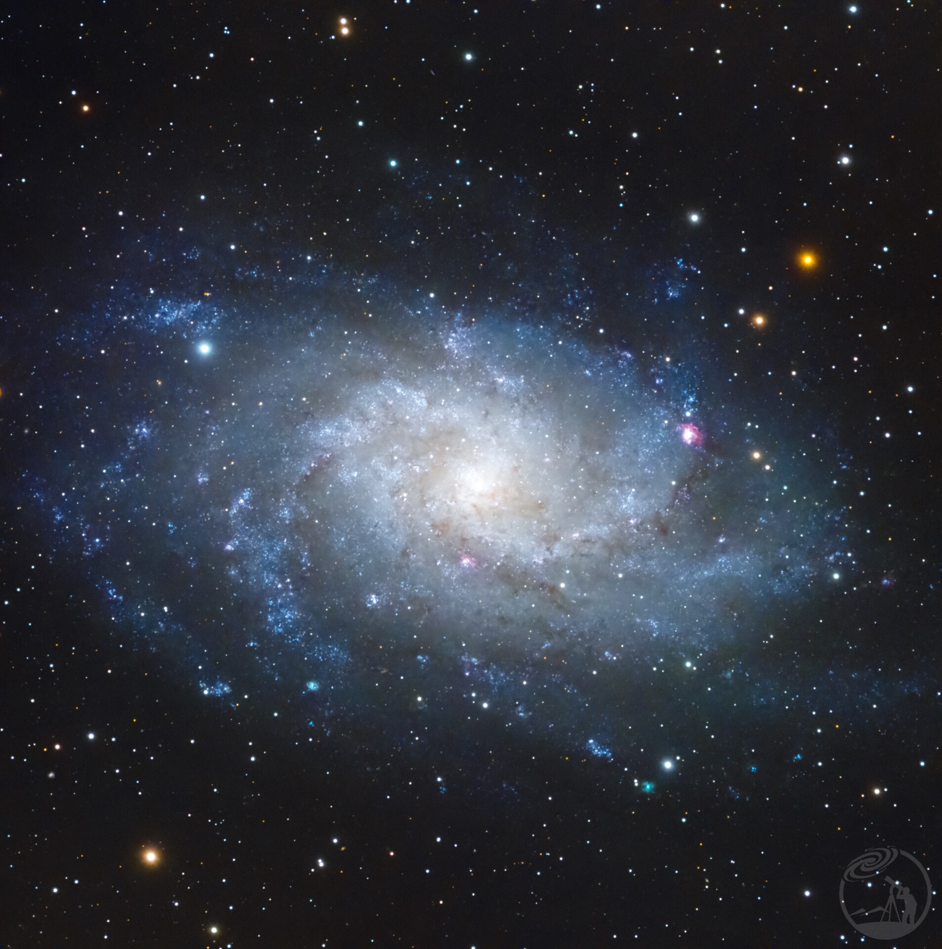 M33