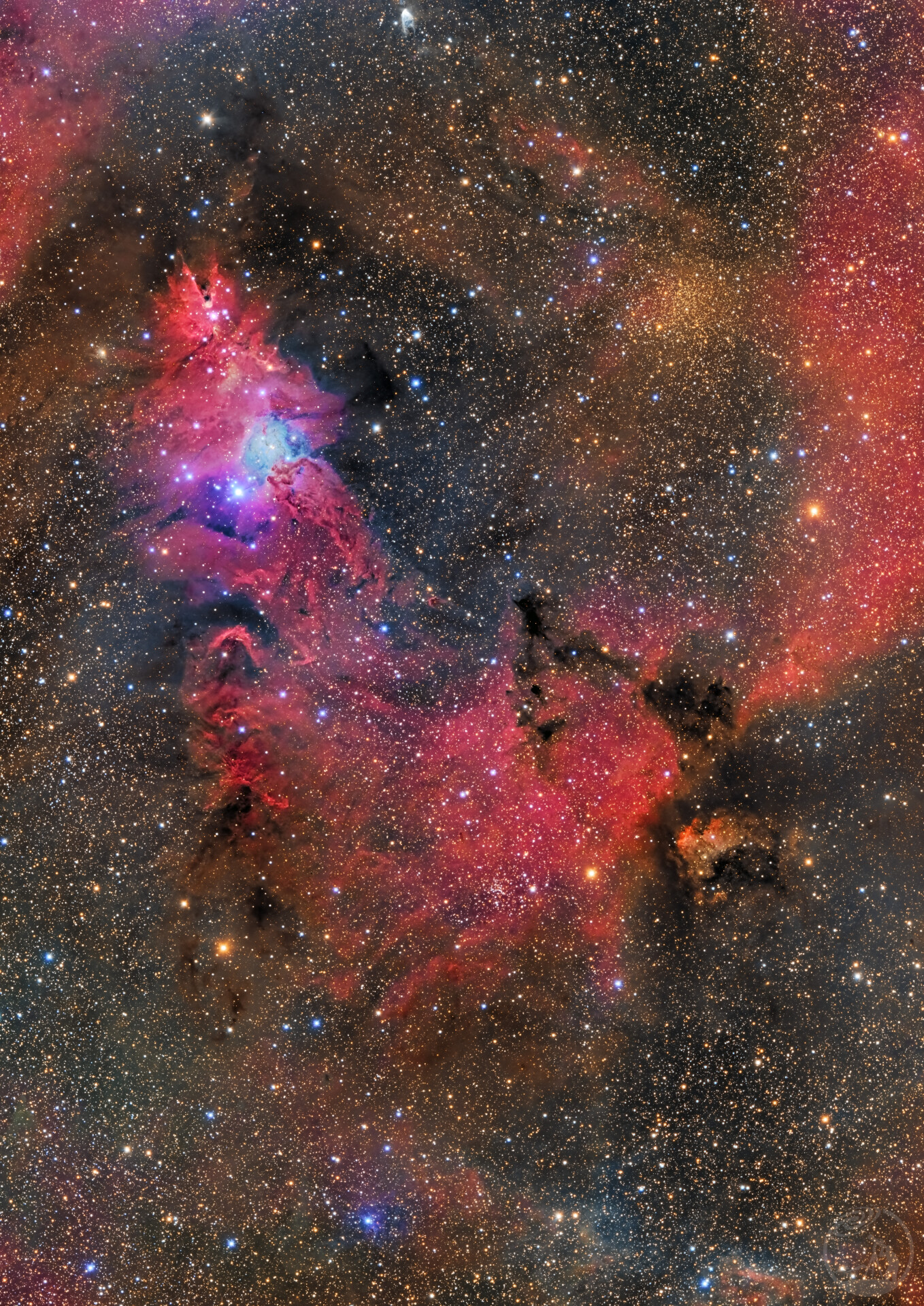 NGC2264圣诞树星云