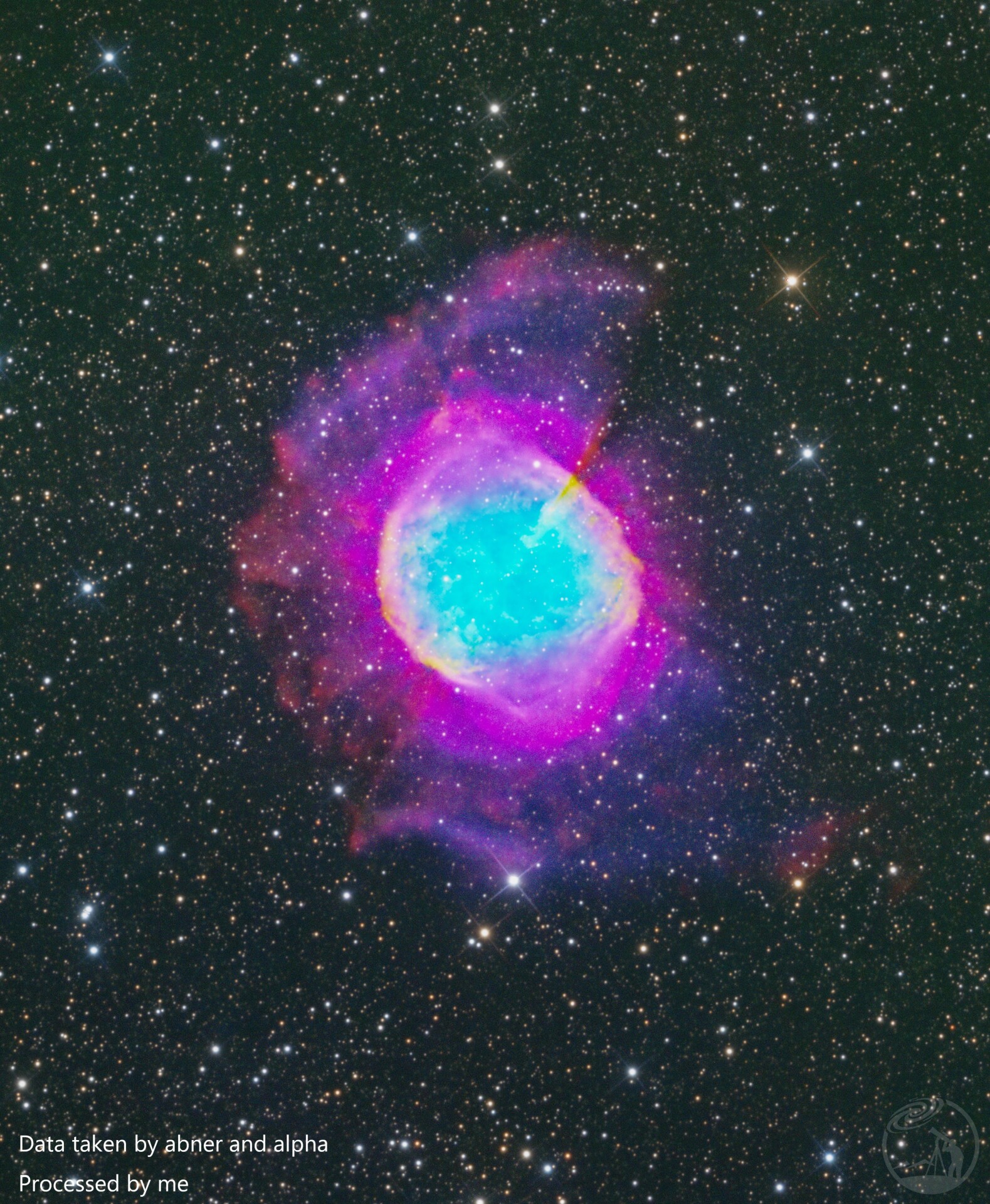M27 SHOHEII 紫色夹心糖