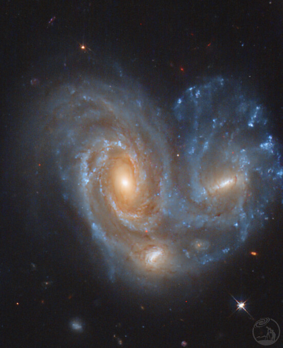 ARP 272