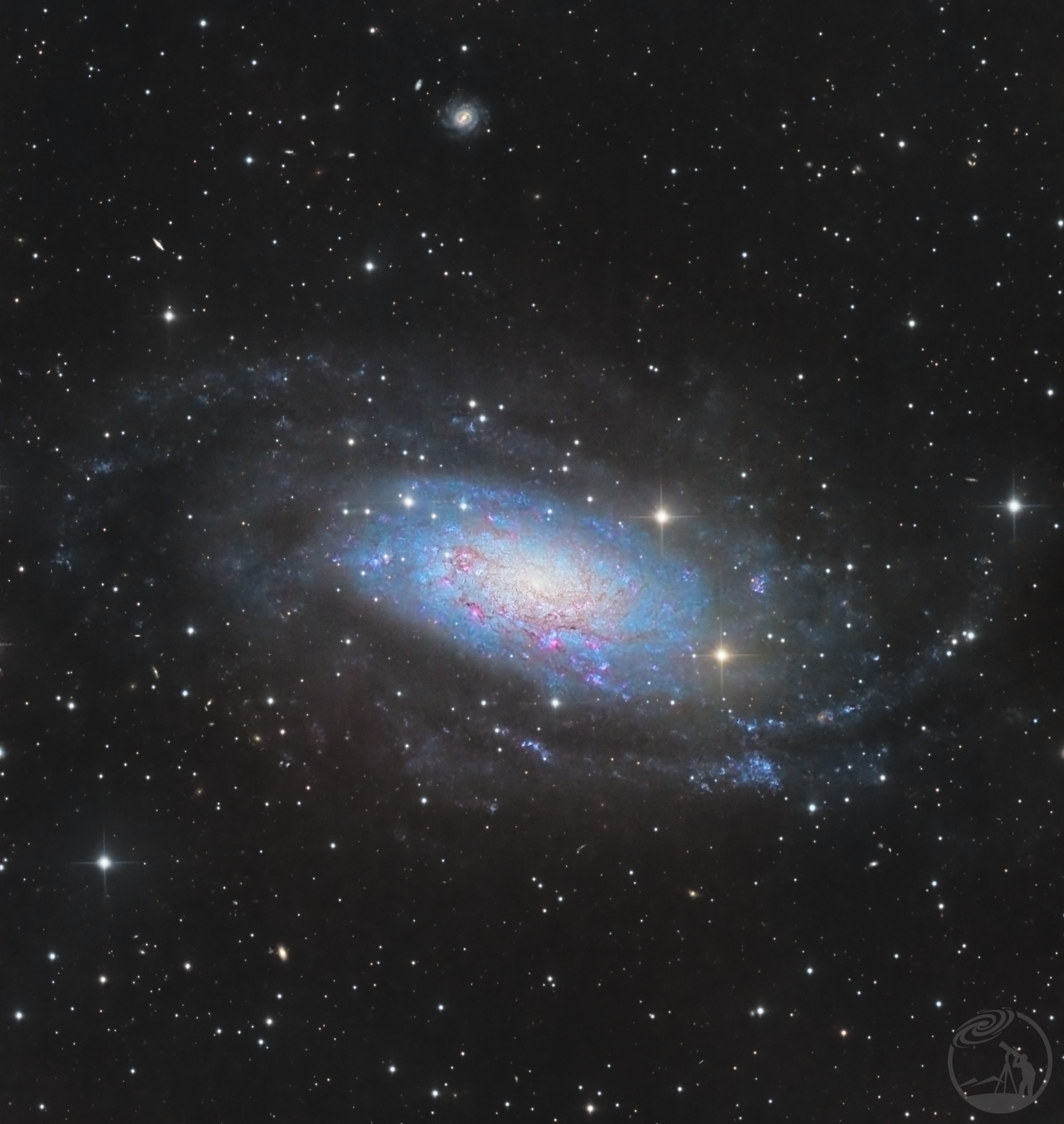 NGC 3621 画框星系