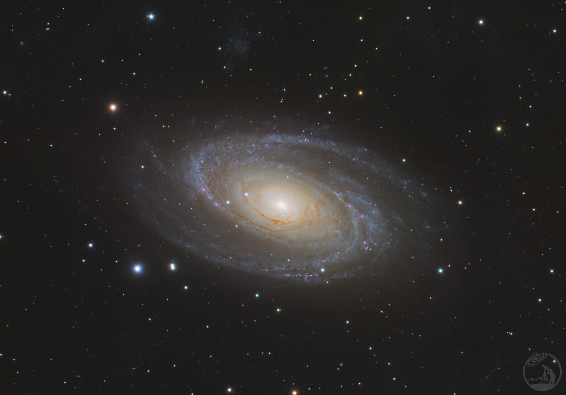 M81