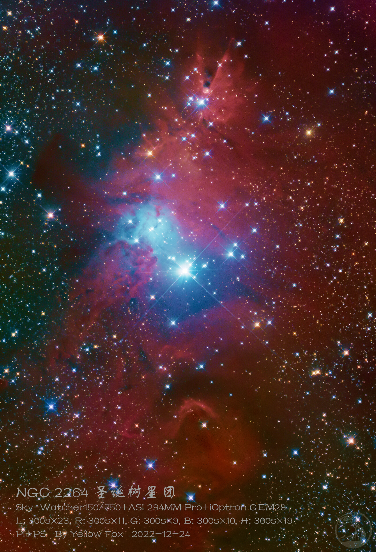 NGC2264 圣诞树星团