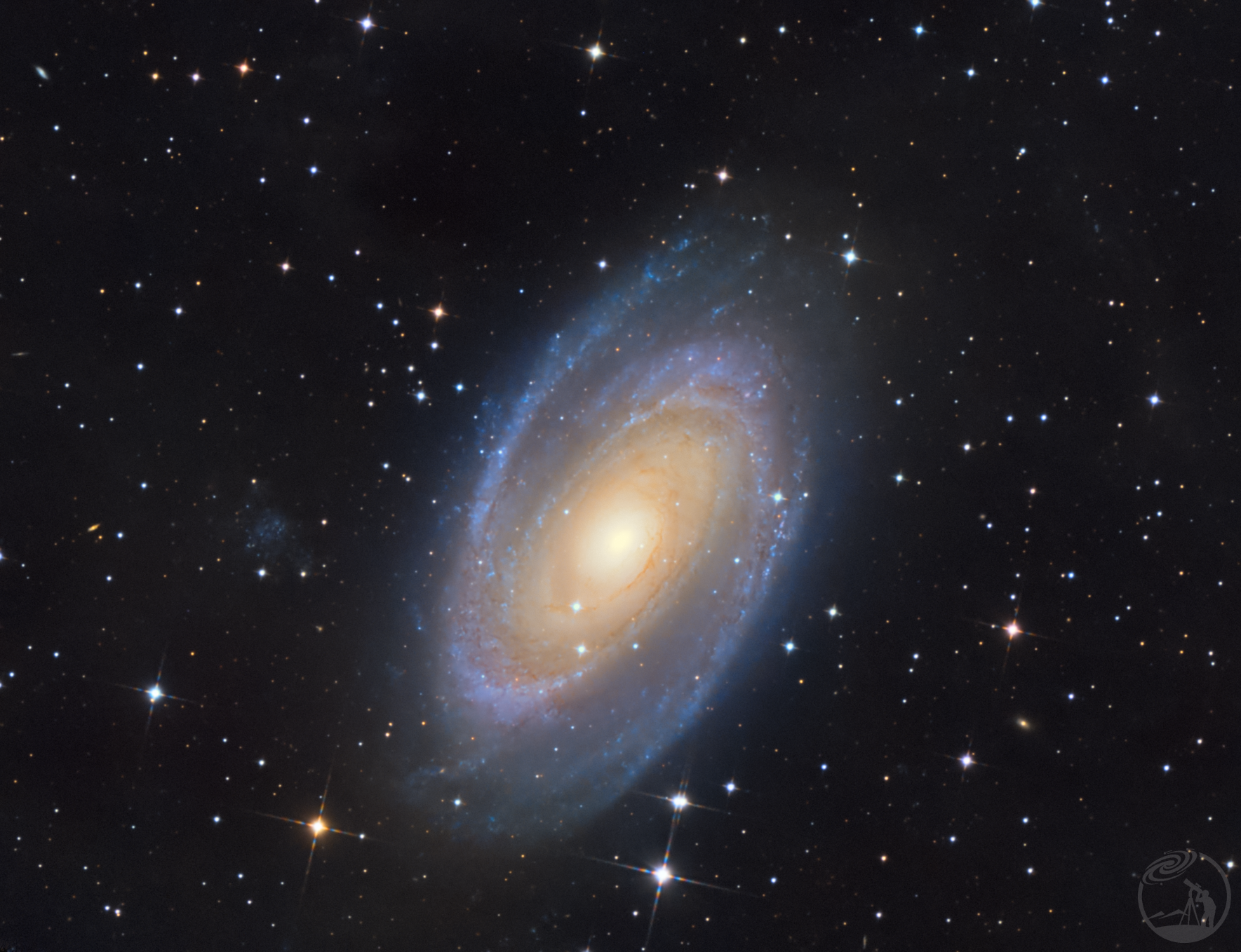 M81