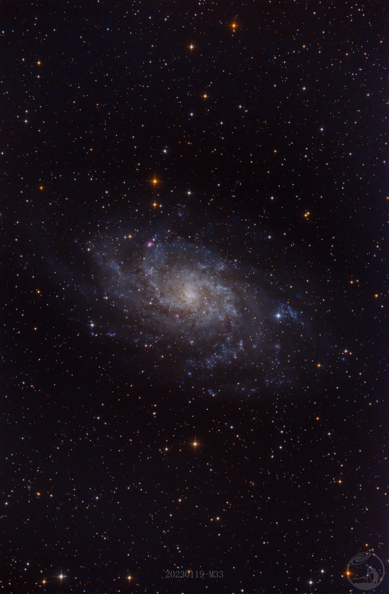 M33